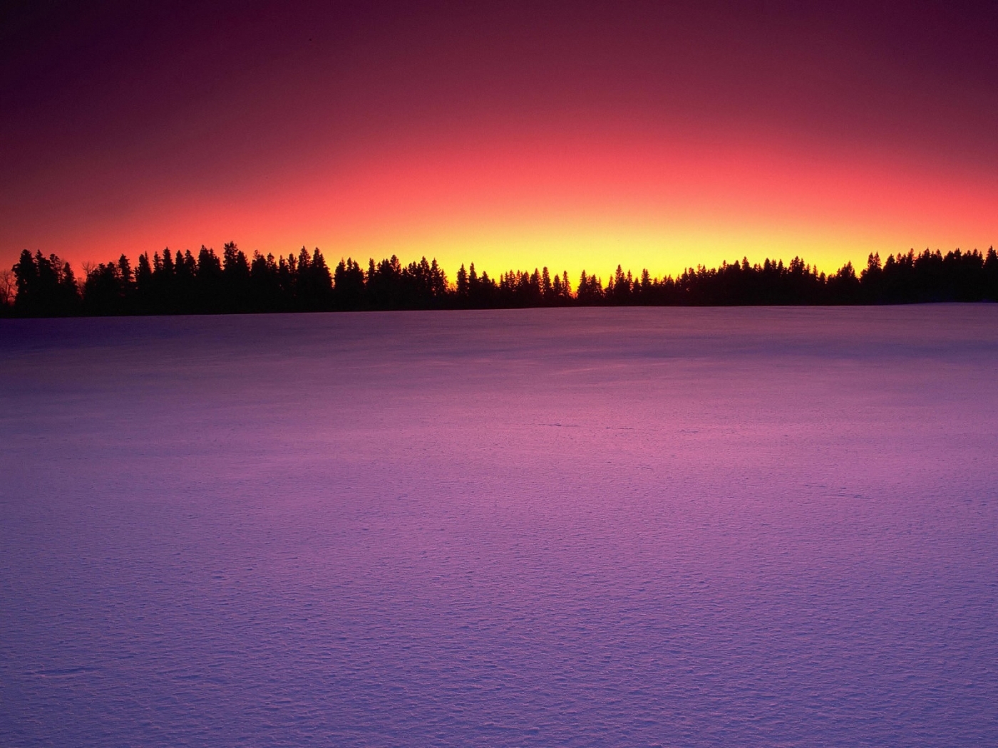 Download mobile wallpaper Winter, Trees, Landscape, Snow, Sunset for free.