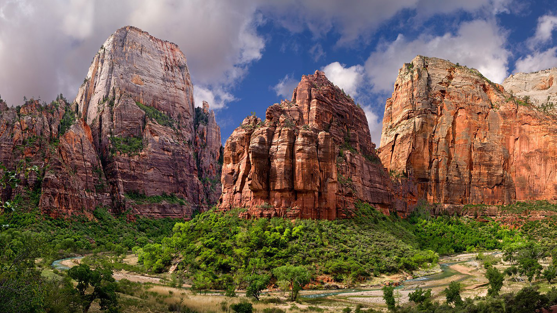 zion national park, earth, canyon, cliff, mountain, tree, national park 4K