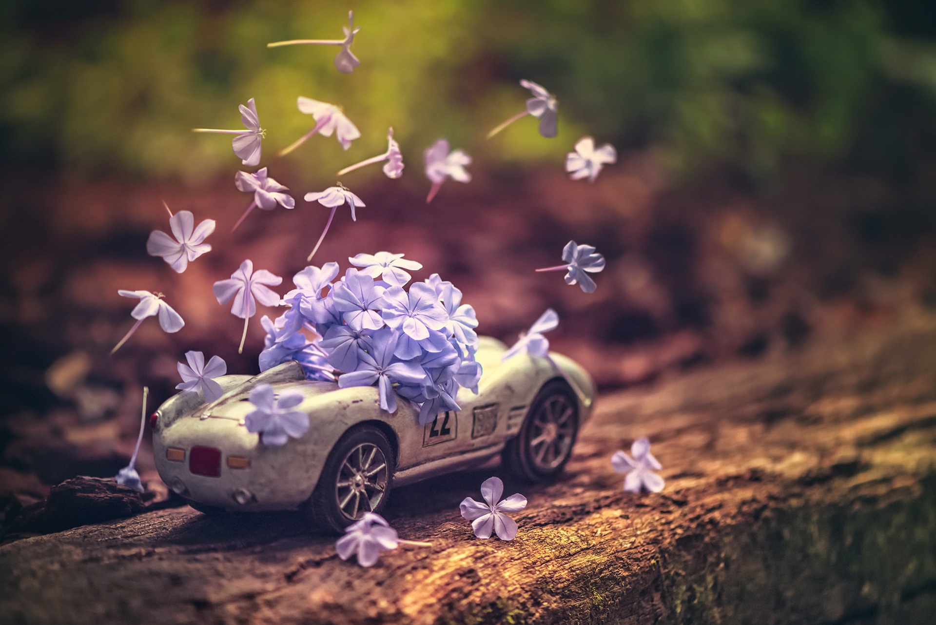 Flower car. Автомобиль в цветах. Автомобиль с цветами. Машина в цветочек. Машинка с цветочками.