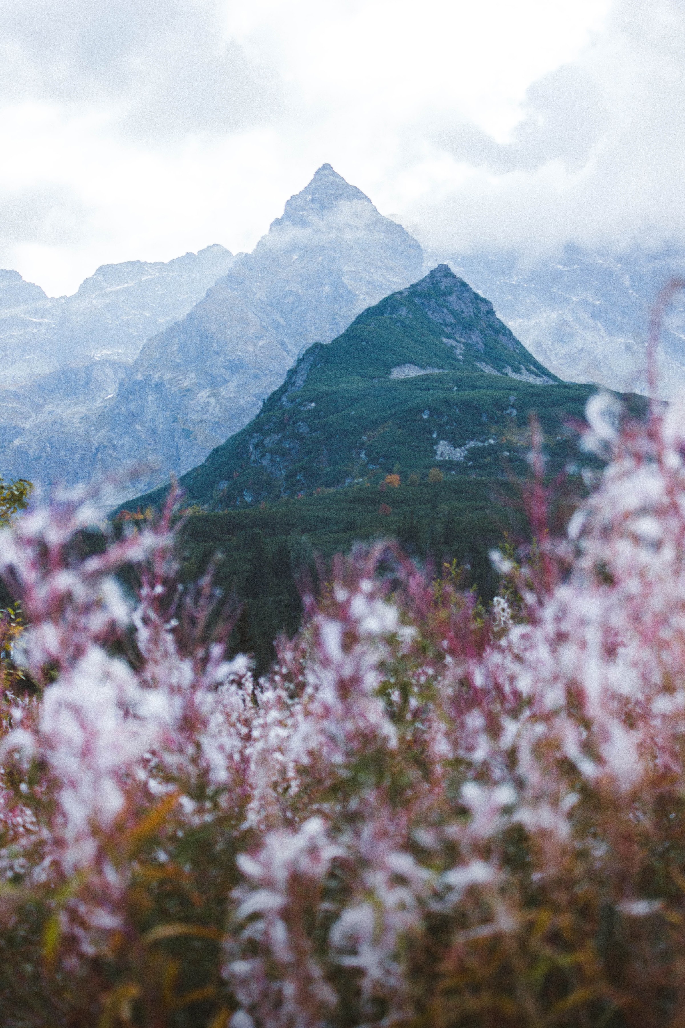 tops, landscape, nature, flowers, mountains, clouds, vertex Smartphone Background