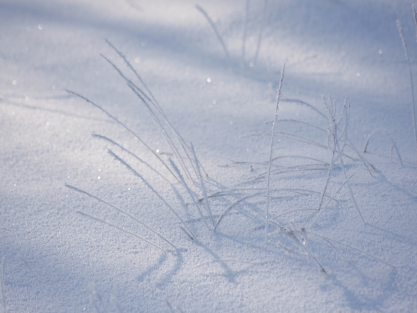 Download mobile wallpaper Winter, Snow, Landscape for free.