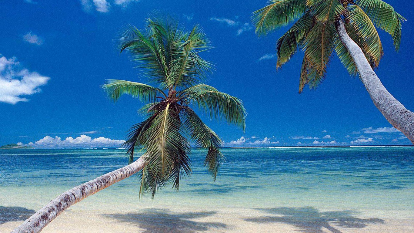 Фон для фотошопа море пляж пальмы
