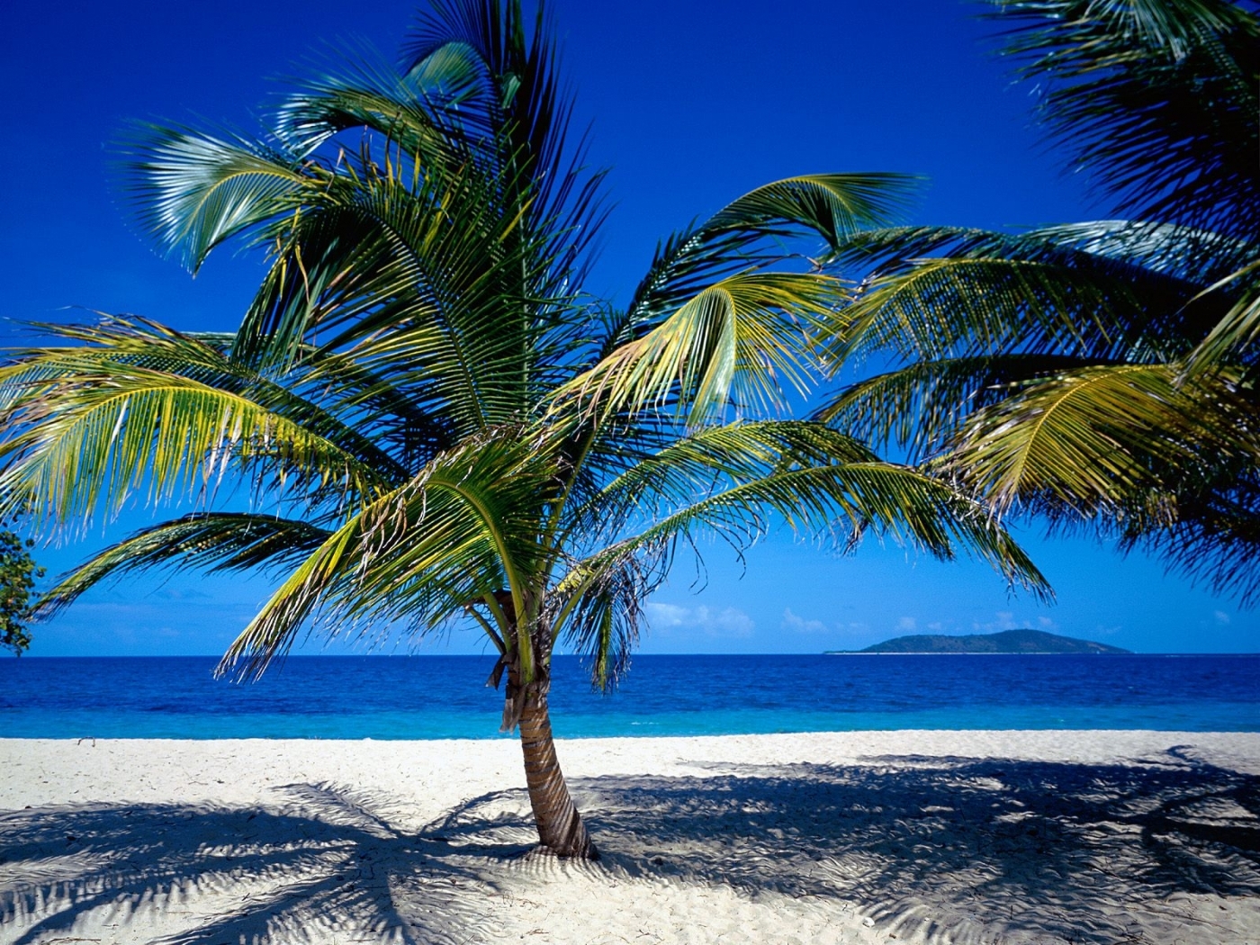 Скачать картинку Пальмы, Пейзаж, Море, Пляж в телефон бесплатно.