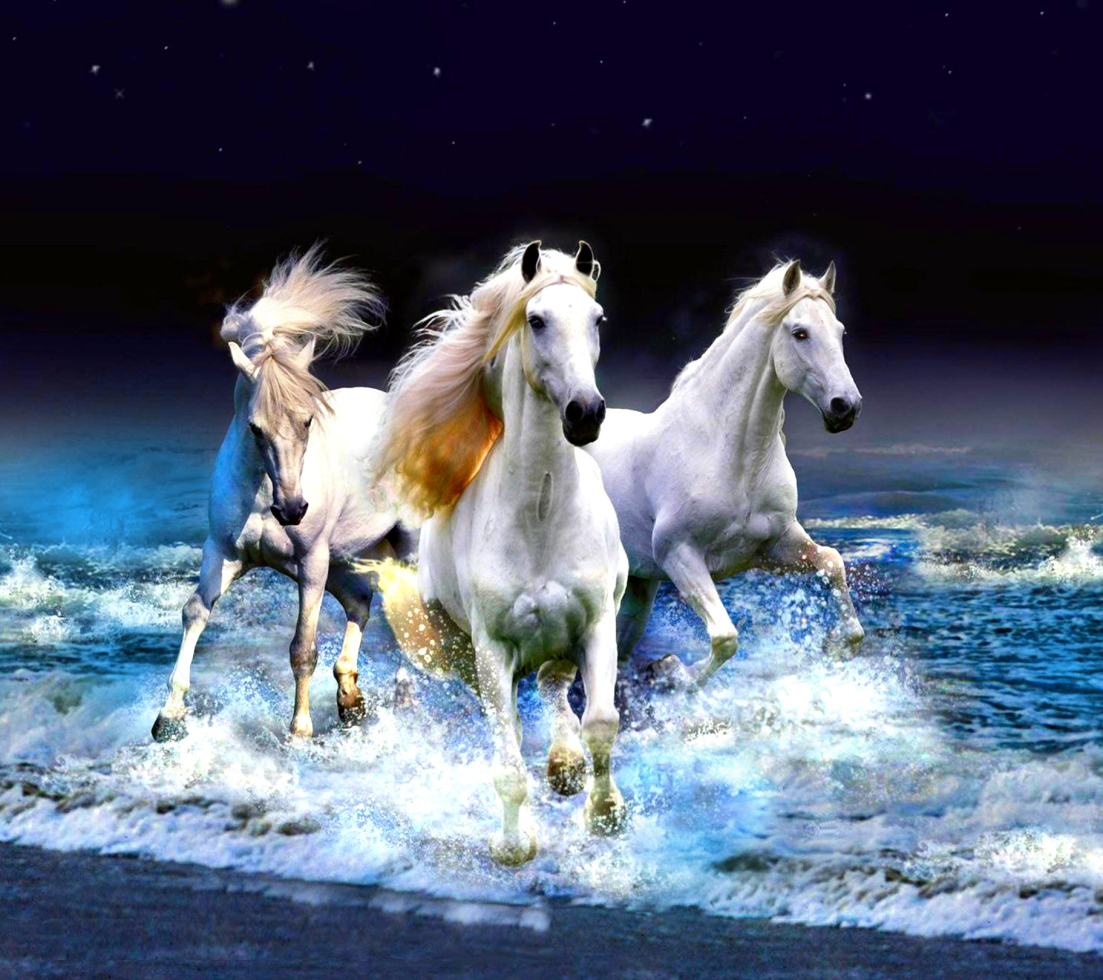 картинки лошадей красивые на заставку телефона