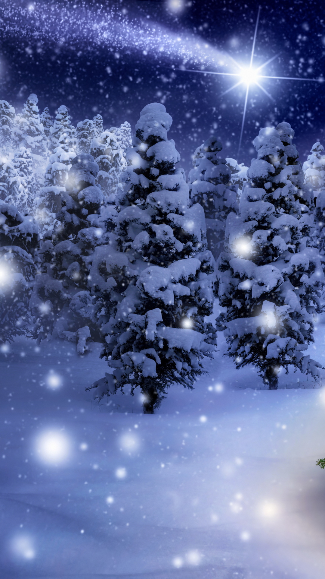 Download mobile wallpaper Snow, Light, Forest, Christmas, Holiday, Christmas Tree for free.