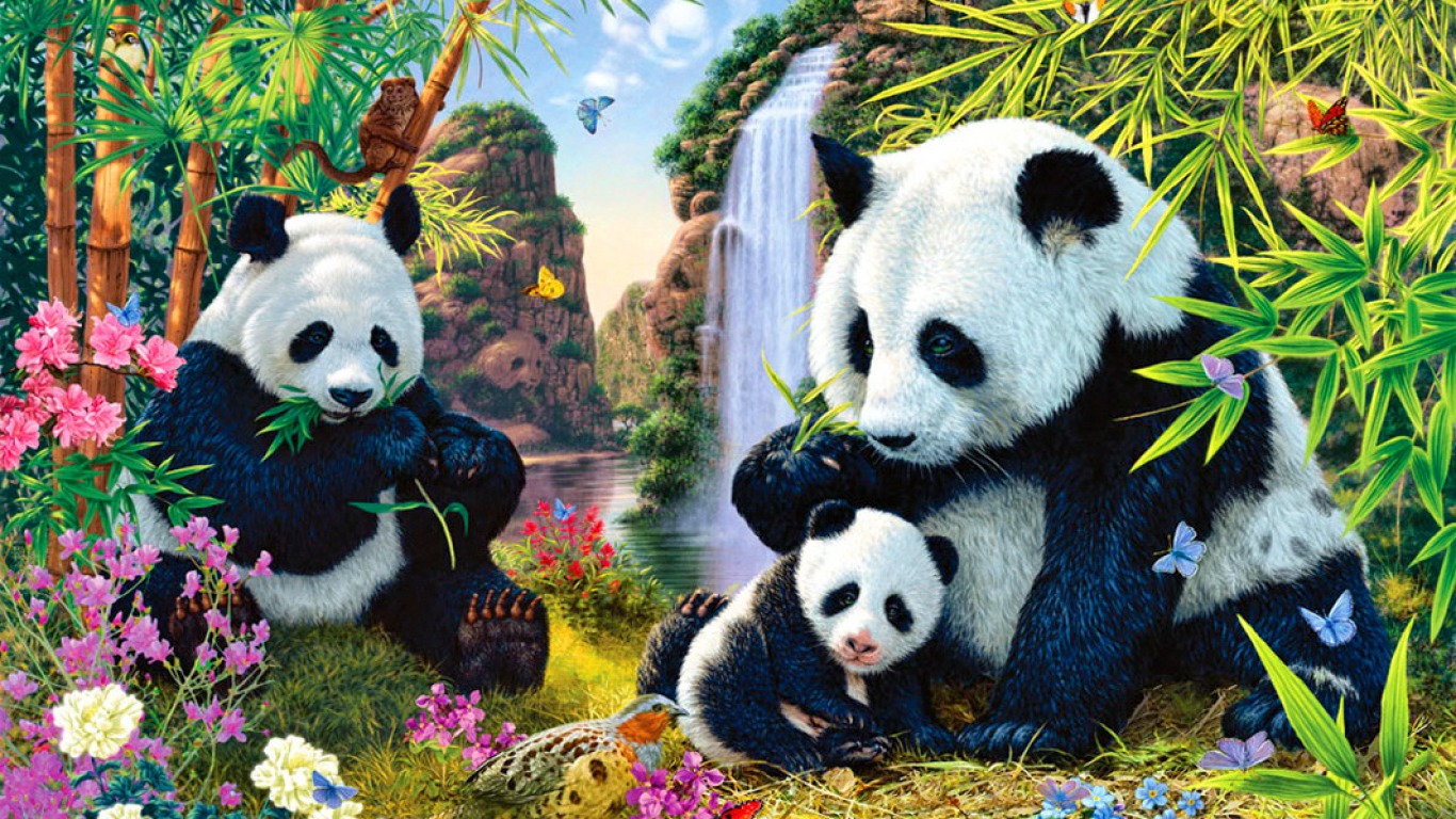 panda, bear, animal