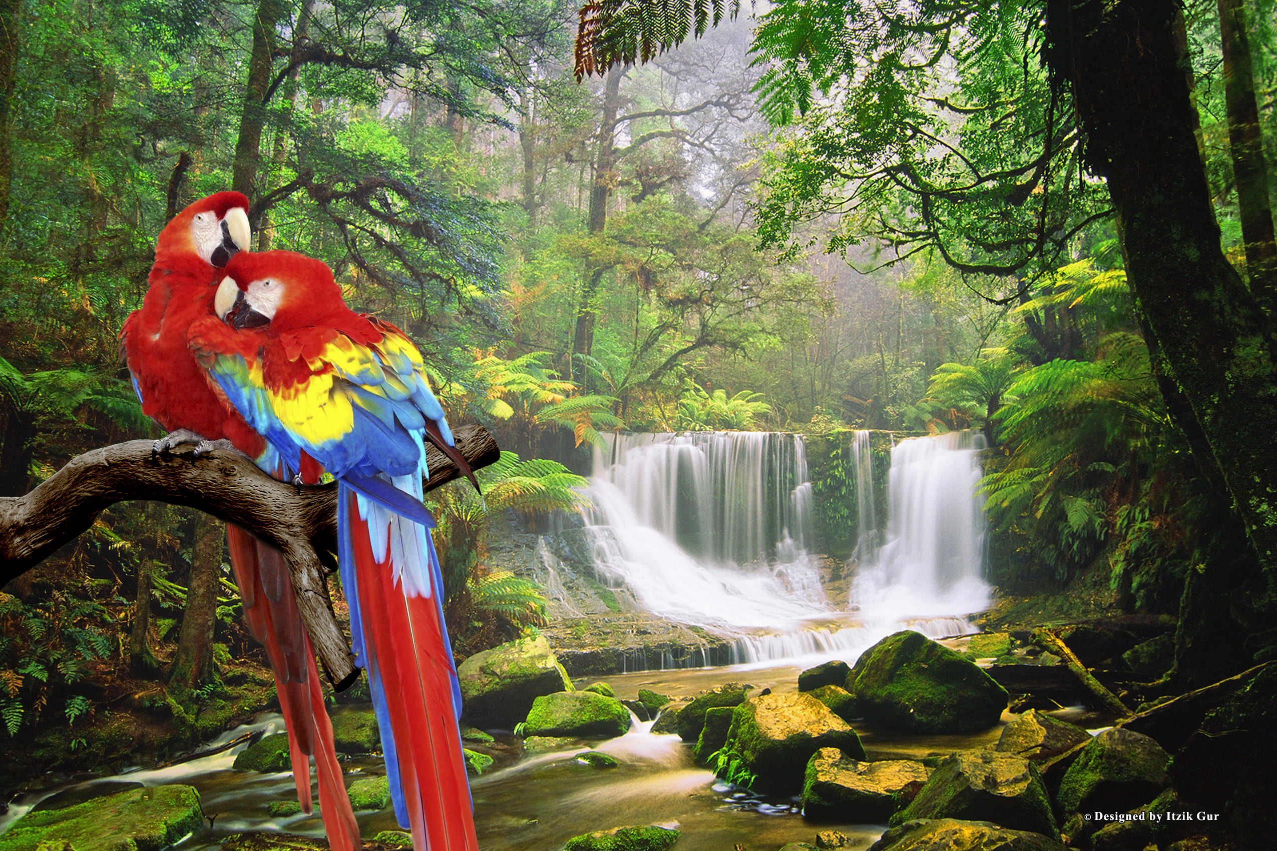 Download mobile wallpaper Scarlet Macaw, Parrot, Birds, Waterfall, Forest, Nature, Animal for free.