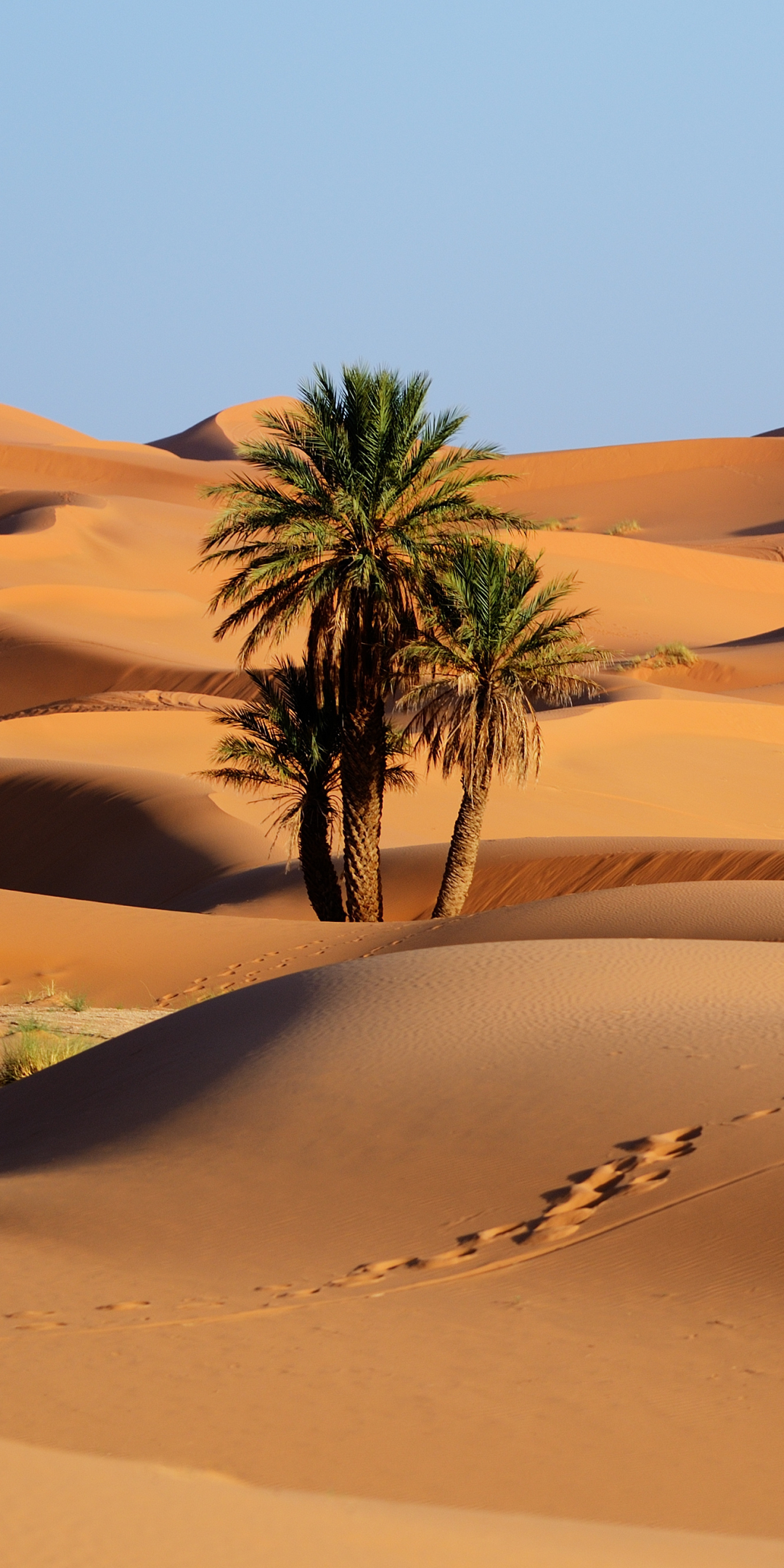 1430379壁紙のダウンロード地球, 荒野, モロッコ, 自然, 砂丘, 砂-スクリーンセーバーと写真を無料で