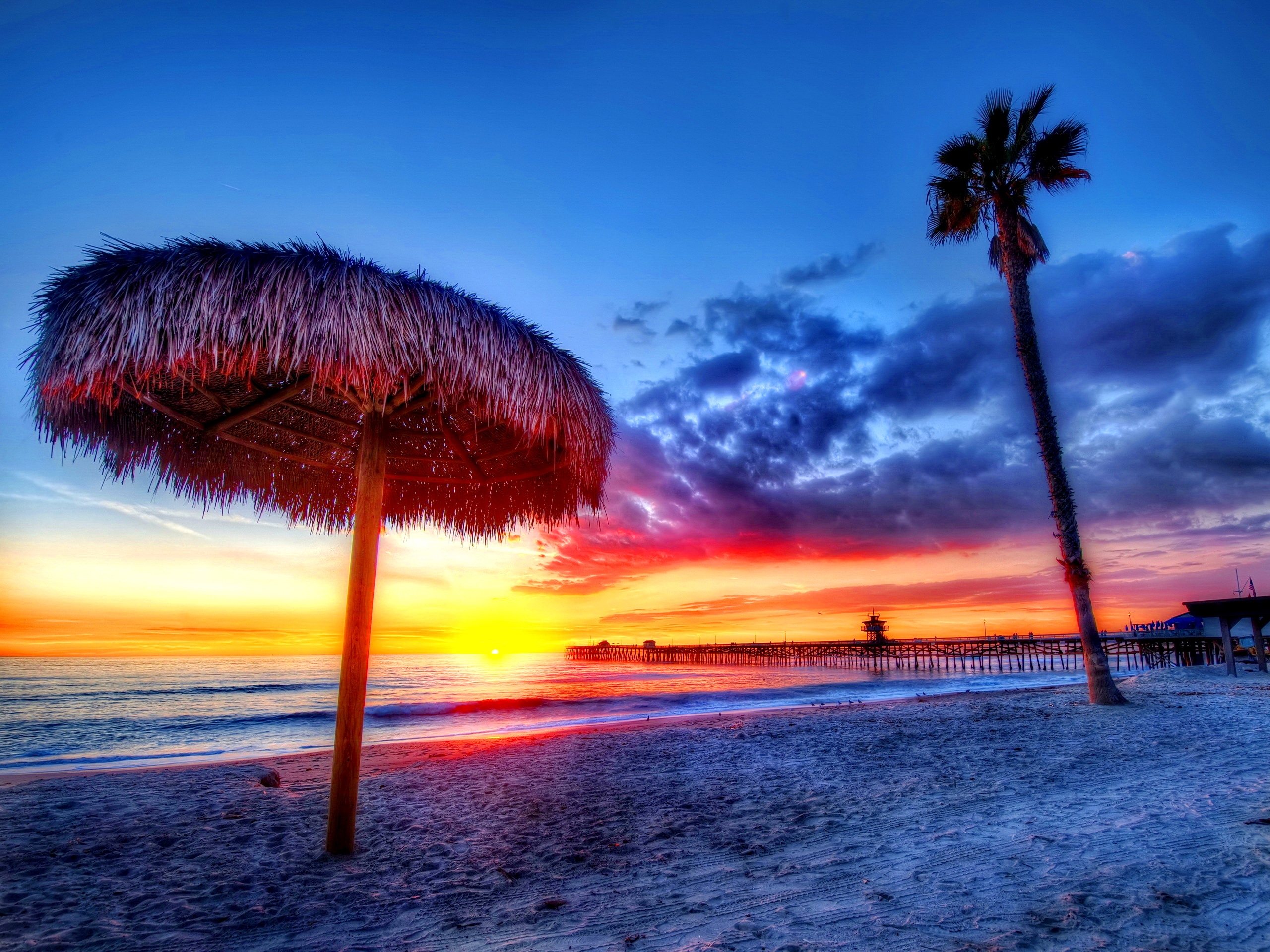 tropics, sea, sunset, beach, sand, it's beautiful, nature, palms, handsomely Free Stock Photo