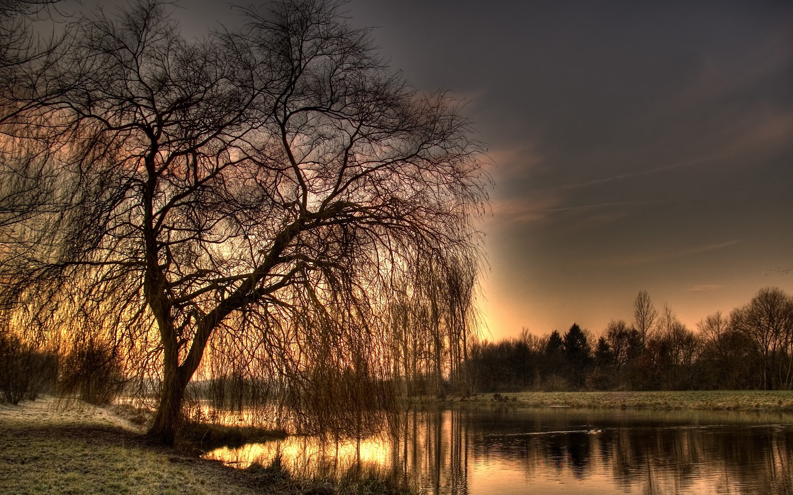 在您的 PC 桌面上免費下載 景观, 河, 树, 日落, 艺术照 圖片