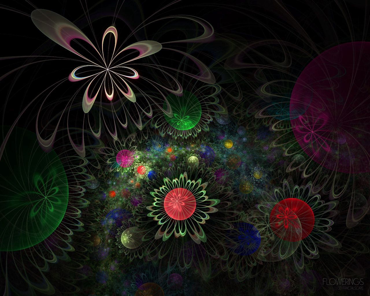 forms, circles, abstract, flowers, form, fractal wallpapers for tablet