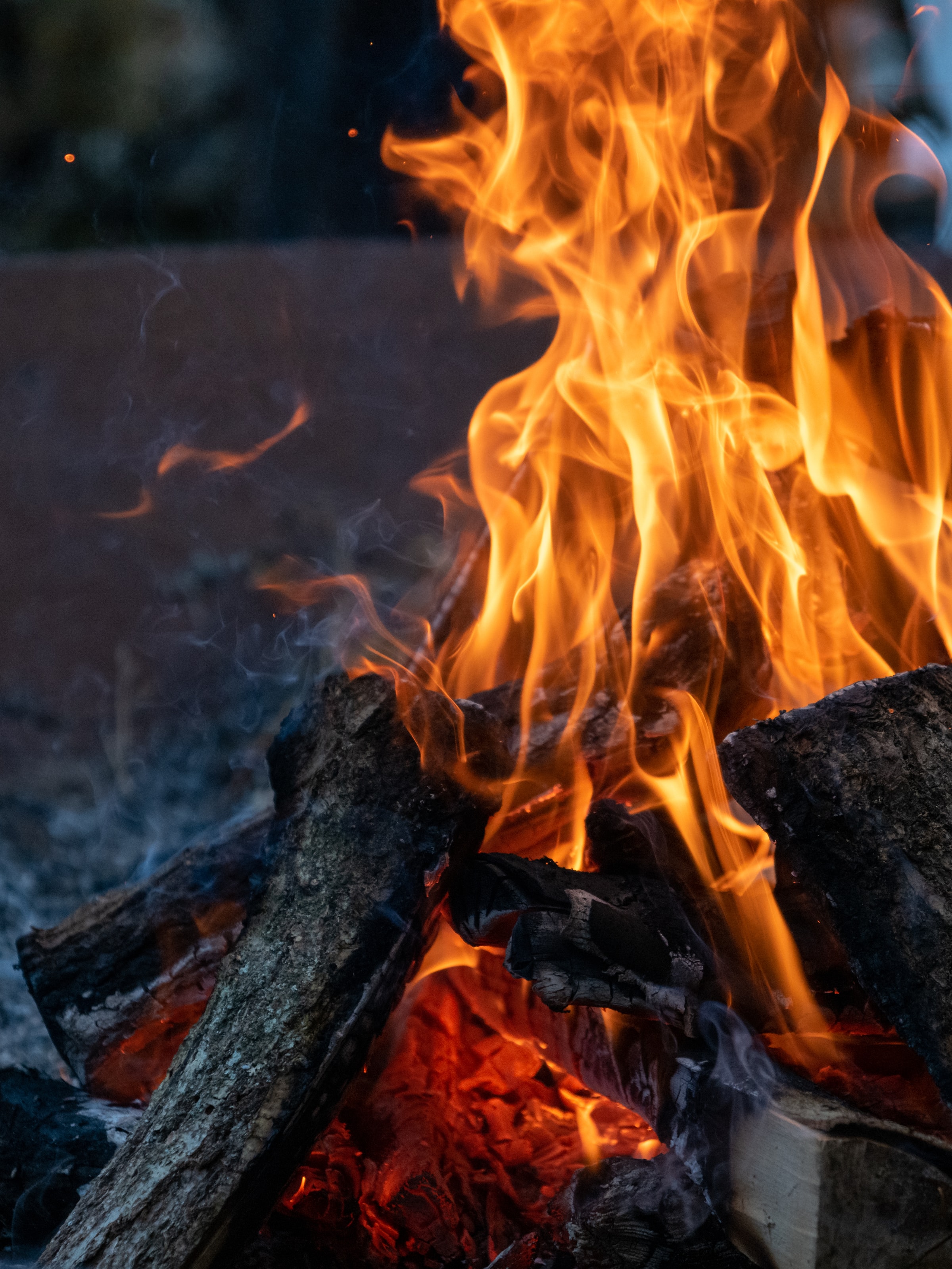 evening, firewood, bonfire, fire, flame, miscellanea, miscellaneous