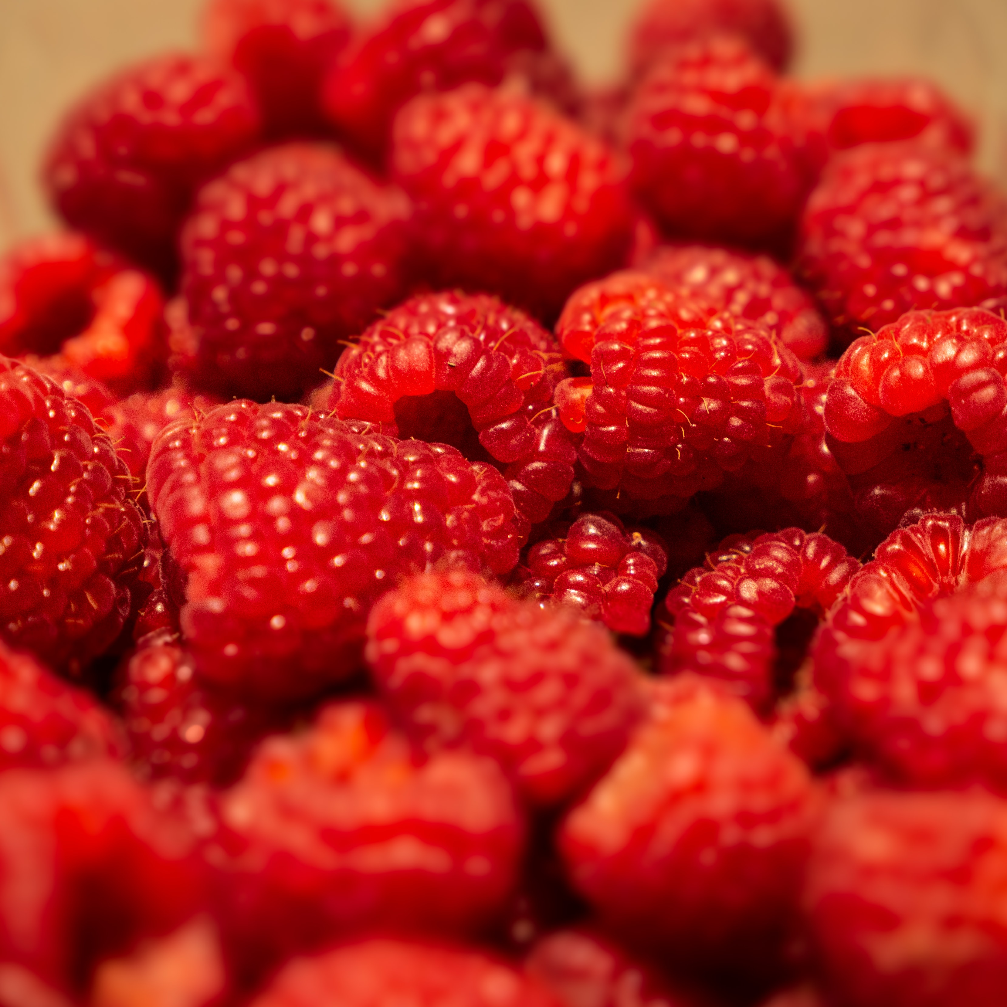 1920 x 1080 picture fruit, raspberry, berries, macro