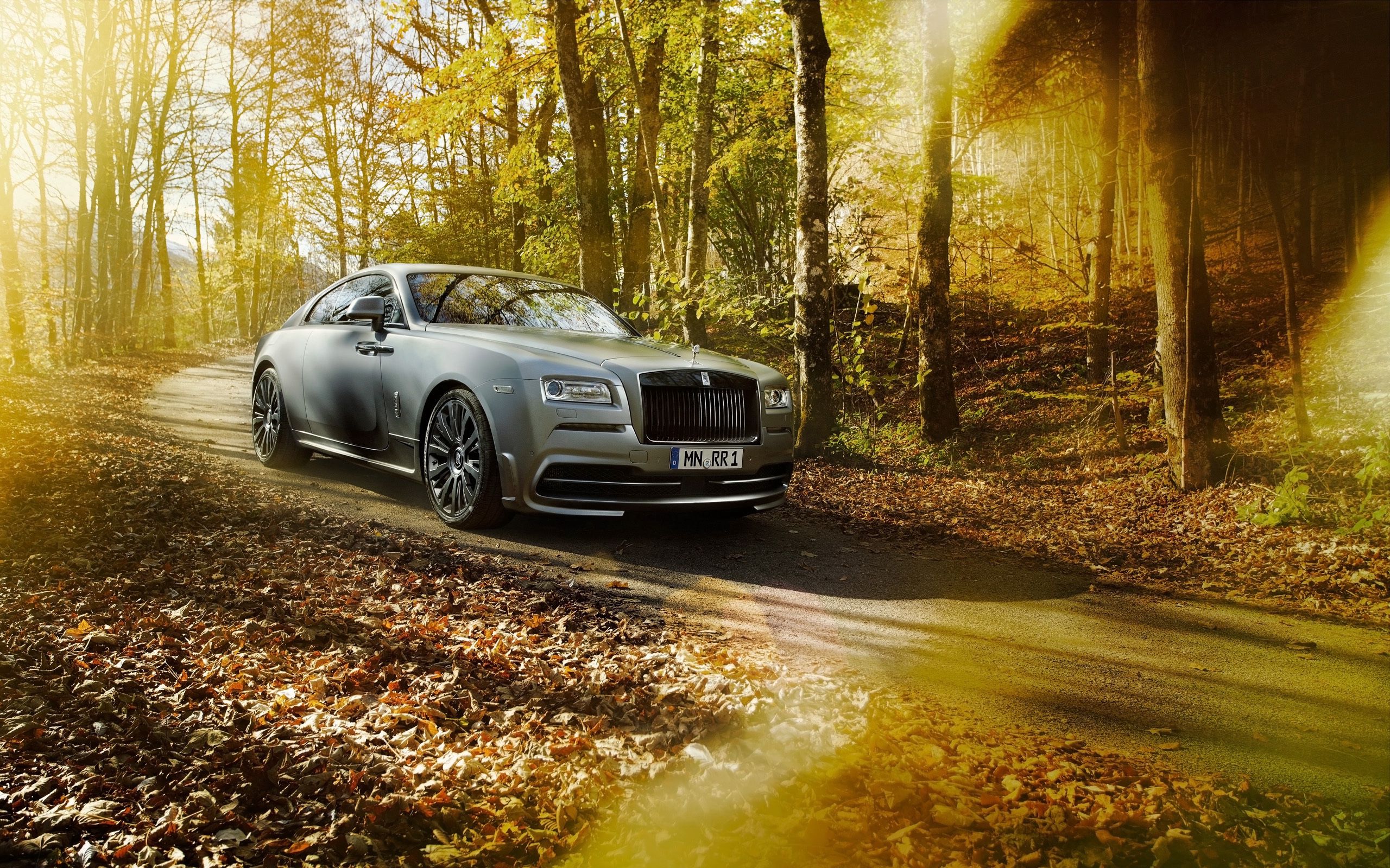 rolls royce, cars, side view, autumn, spofec, park, silver, silvery, wraith Phone Background