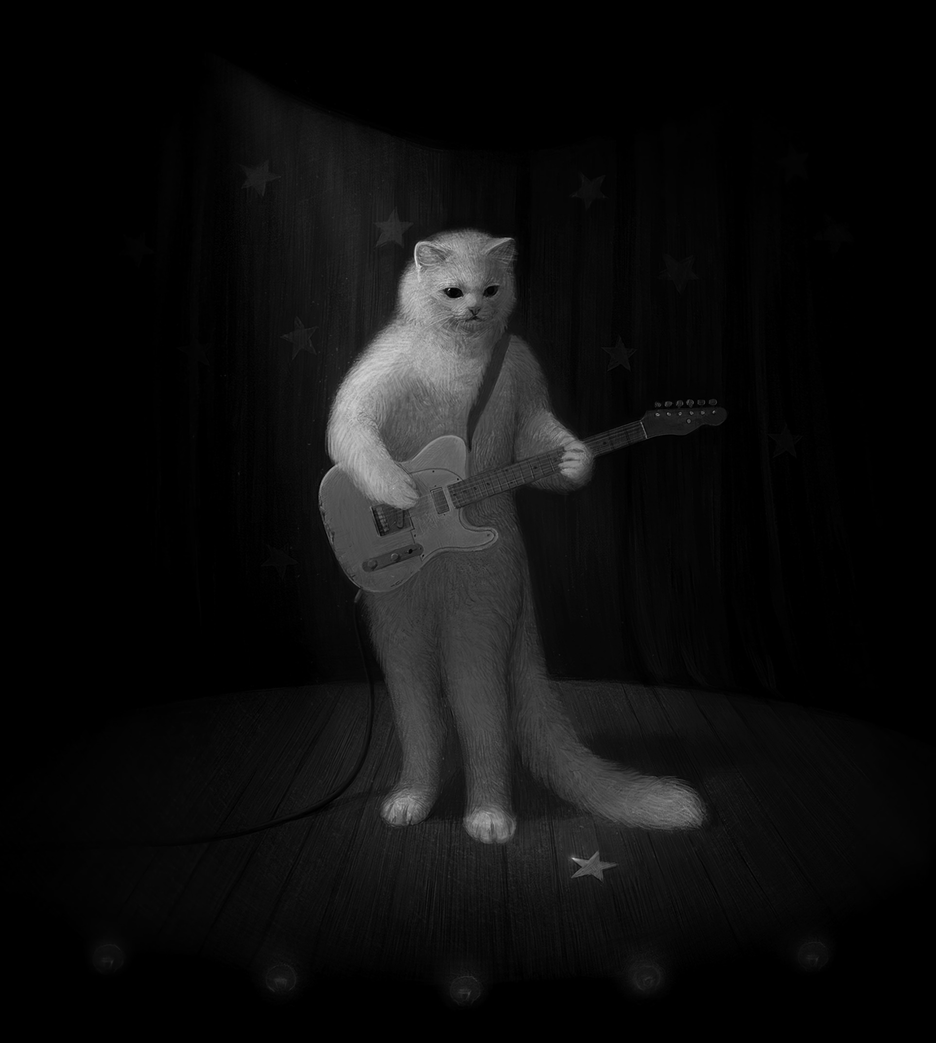 art, musician, bw, guitar, chb, cat
