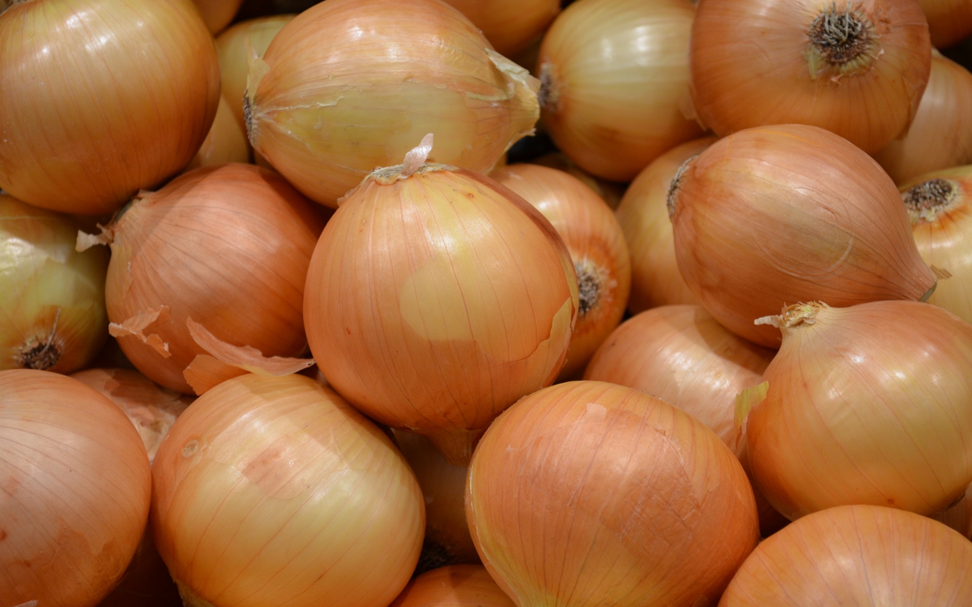 food, onion, close up, vegetable Aesthetic wallpaper
