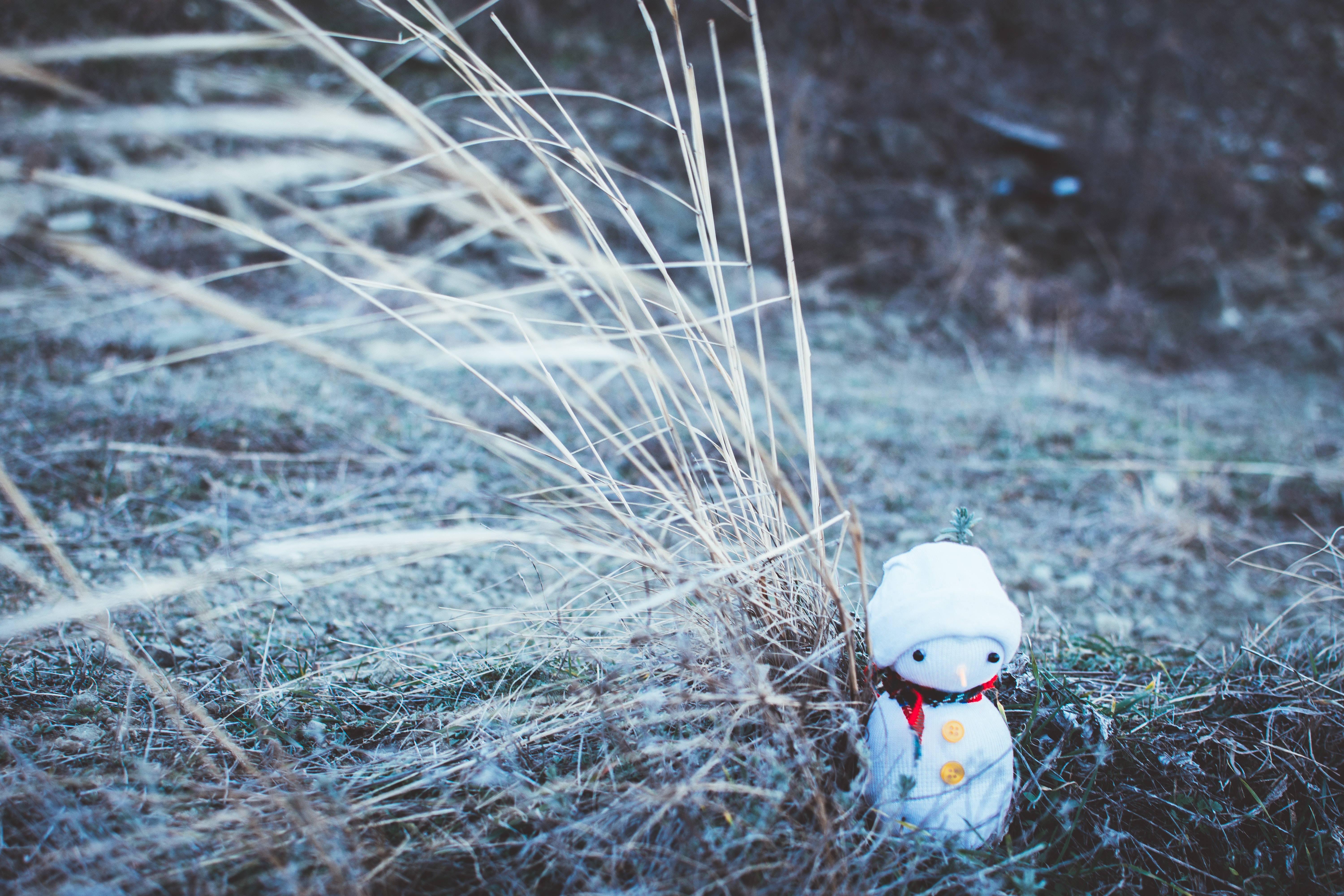 blur, holidays, grass, new year, snowman, smooth, christmas, toy lock screen backgrounds