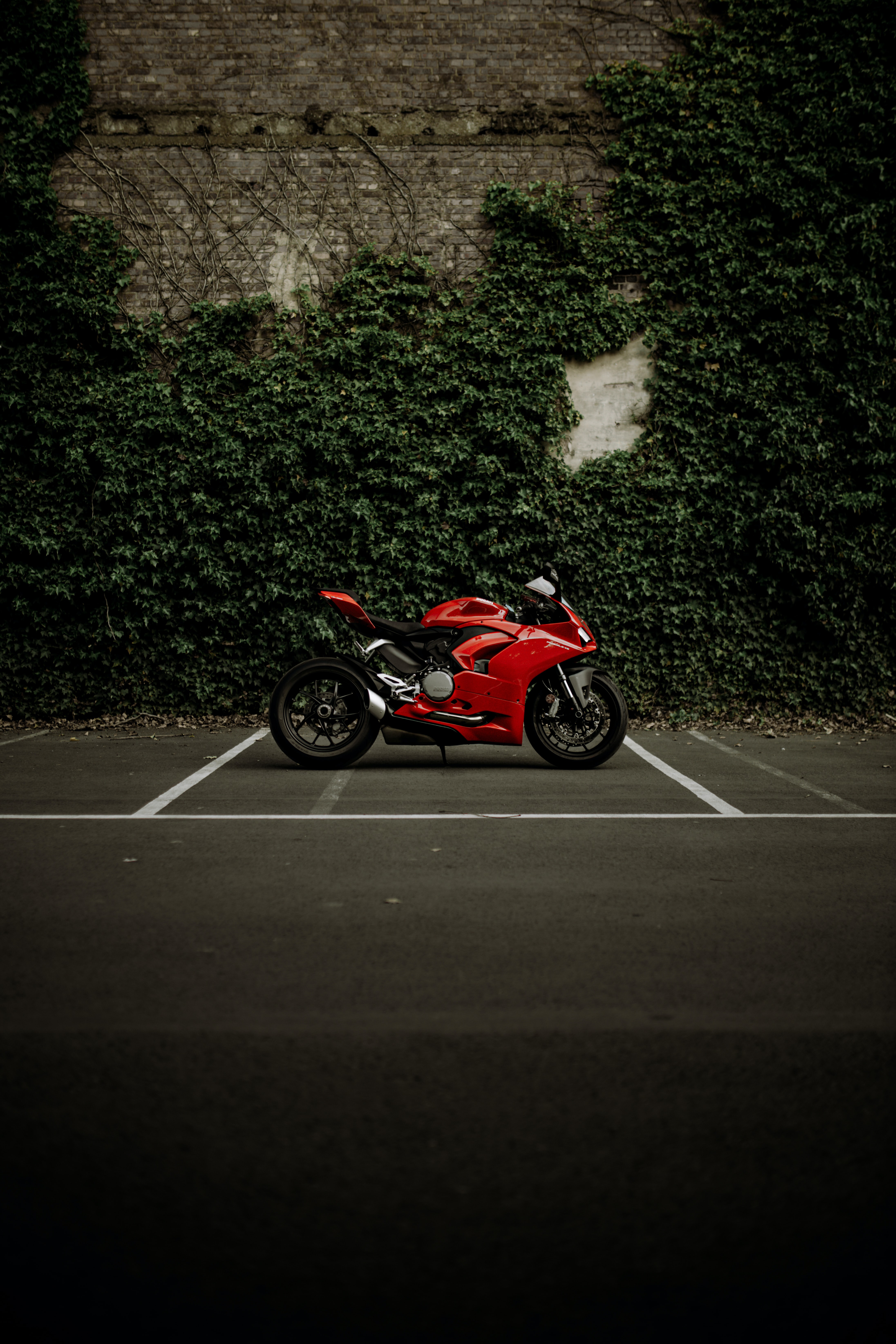 bike, ducati, motorcycles, motorcycle, ducati panigale v2, red