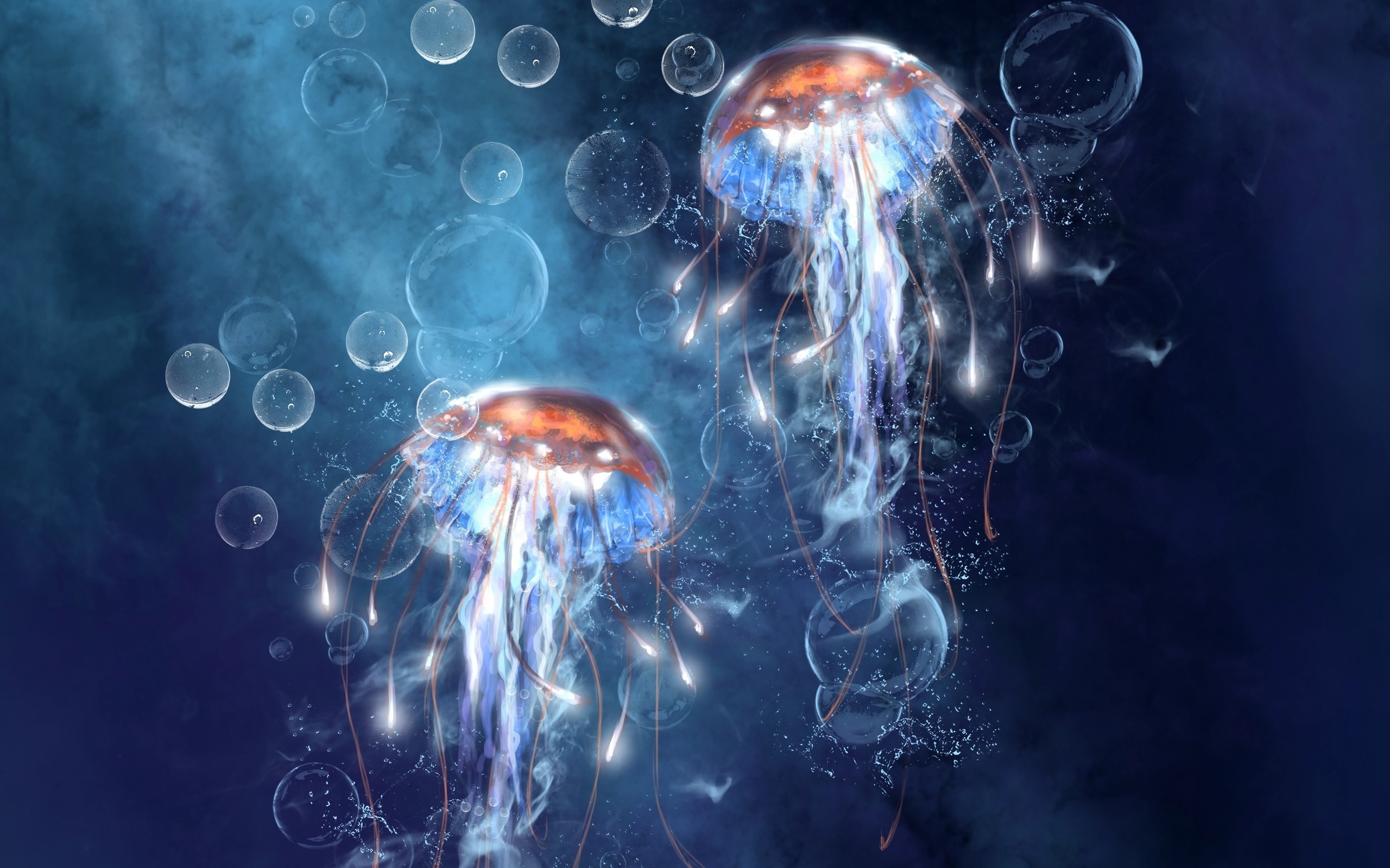 jellyfish, animals, blue mobile wallpaper