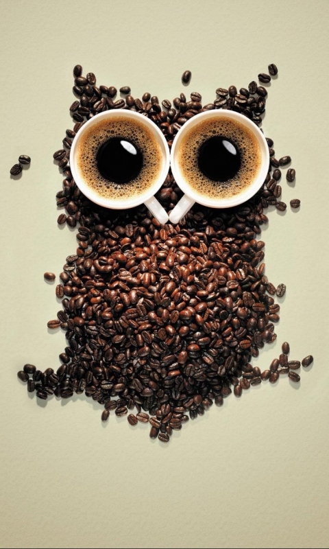 Download mobile wallpaper Funny, Food, Owl, Coffee, Coffee Beans for free.