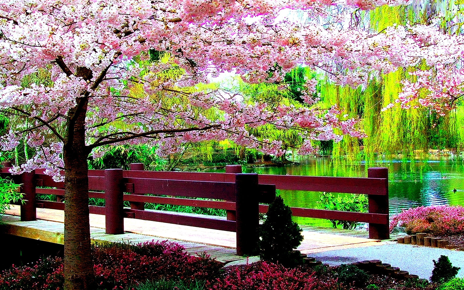Сад Сакуры в Японии