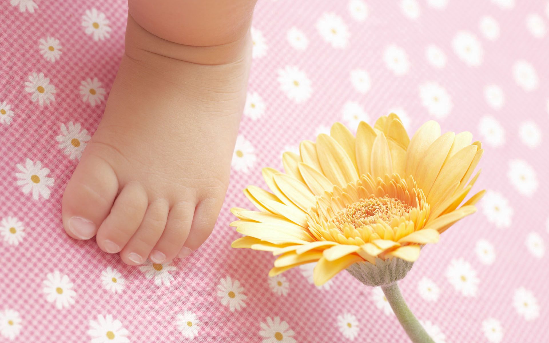 Download background flowers, miscellanea, miscellaneous, child, leg, diaper, pampers