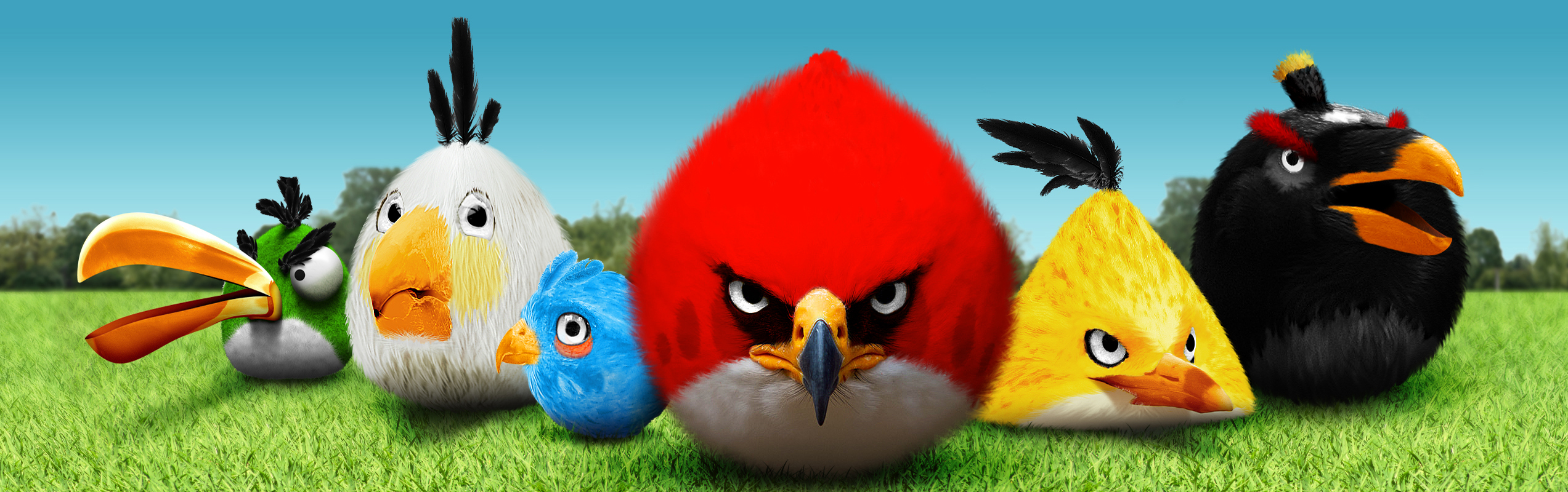 223710 Hintergrundbild herunterladen computerspiele, angry birds - Bildschirmschoner und Bilder kostenlos
