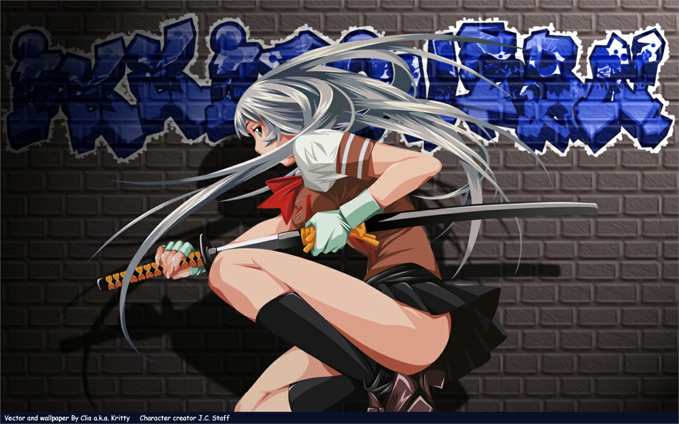 Anime Ikki Tousen Wallpaper