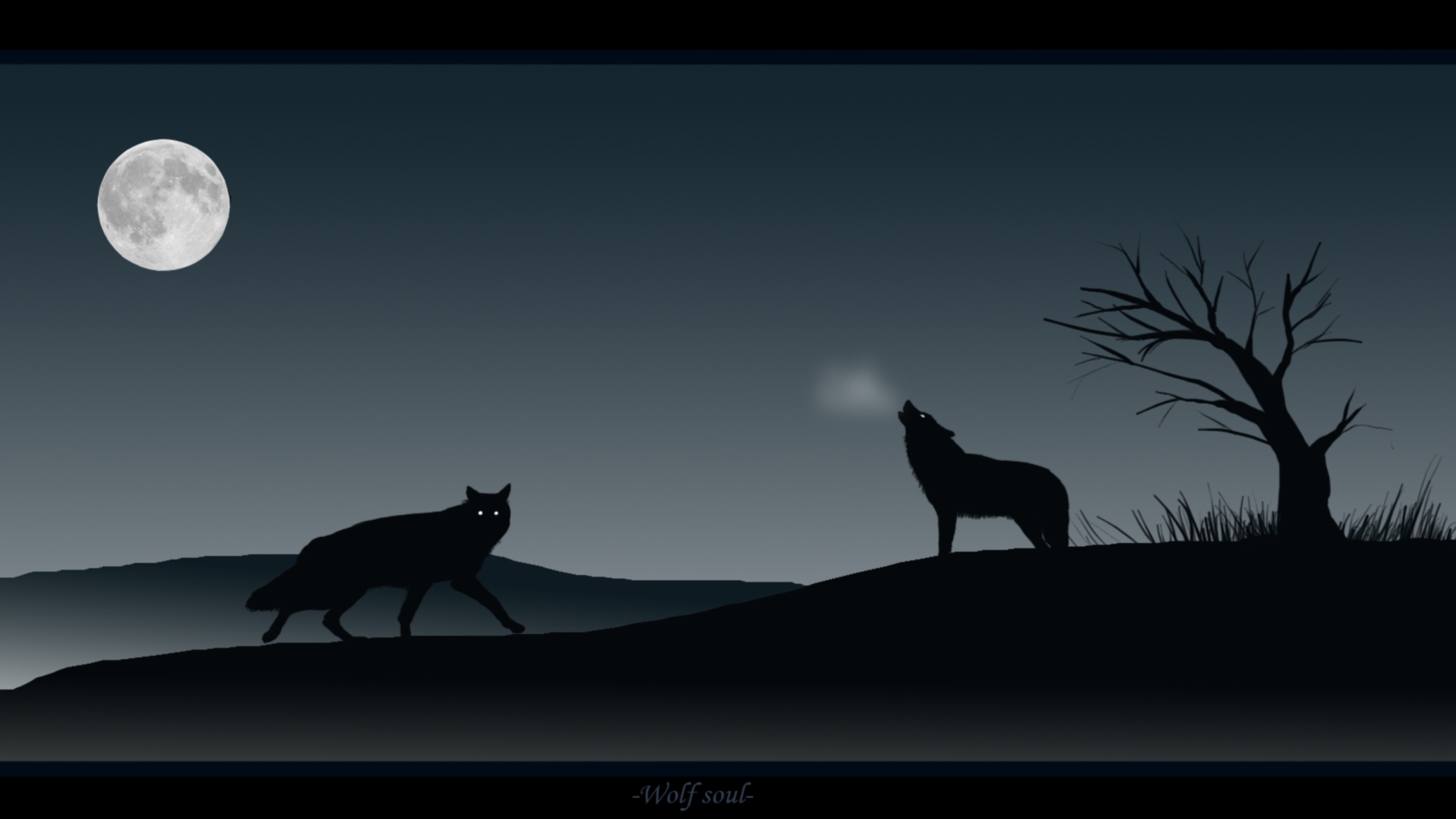 Темном фоне силуэт волка