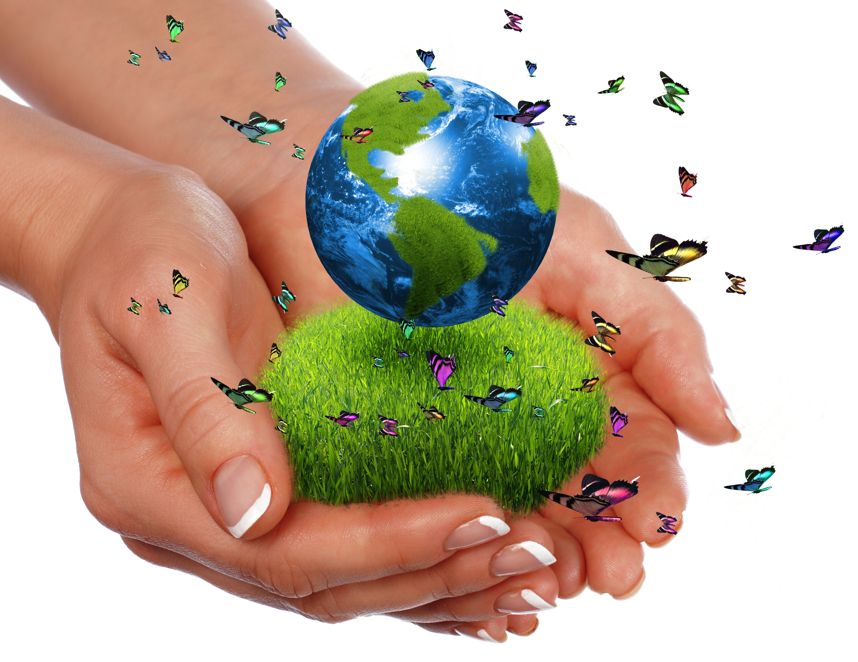 grass, earth day, holiday, butterfly, earth, hand, planet