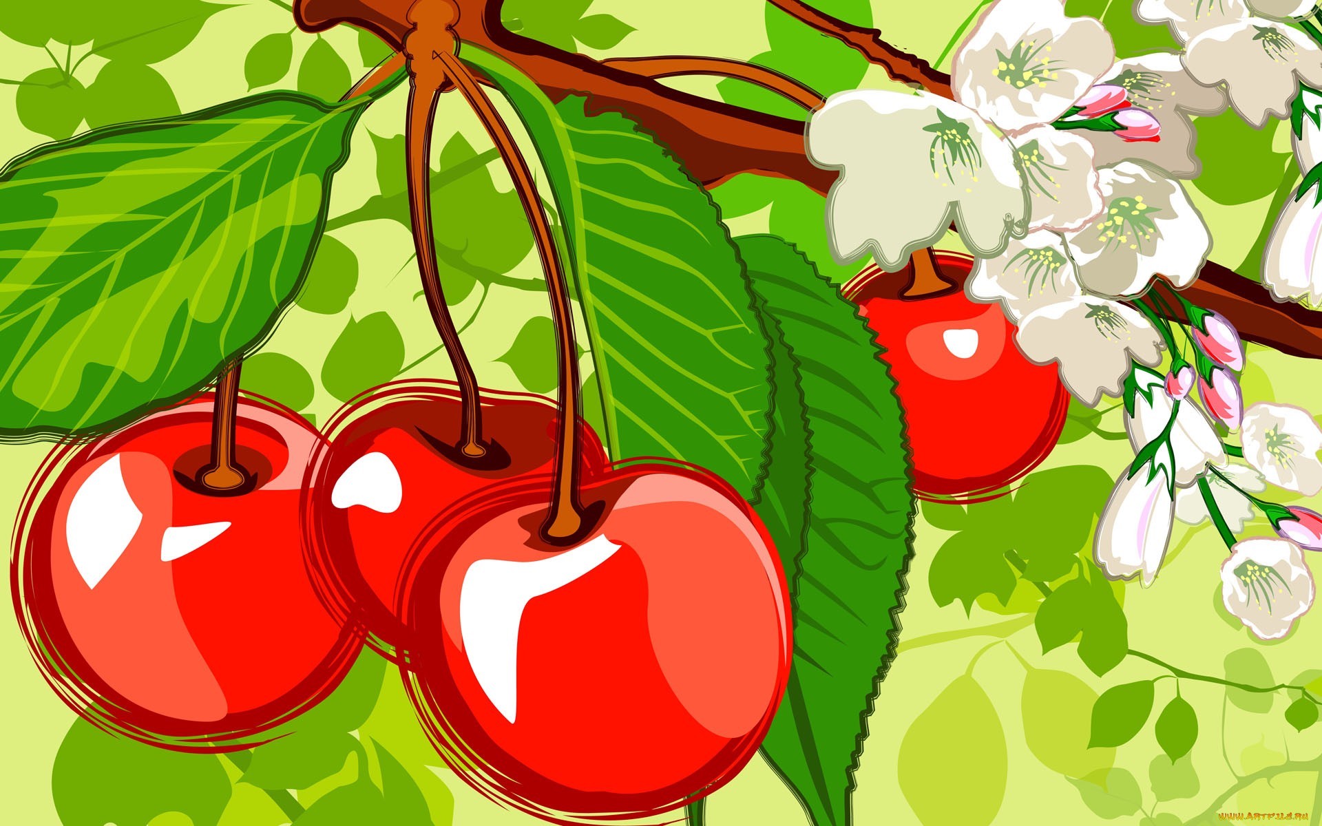 Download mobile wallpaper Berries, Food, Cherry, Pictures for free.