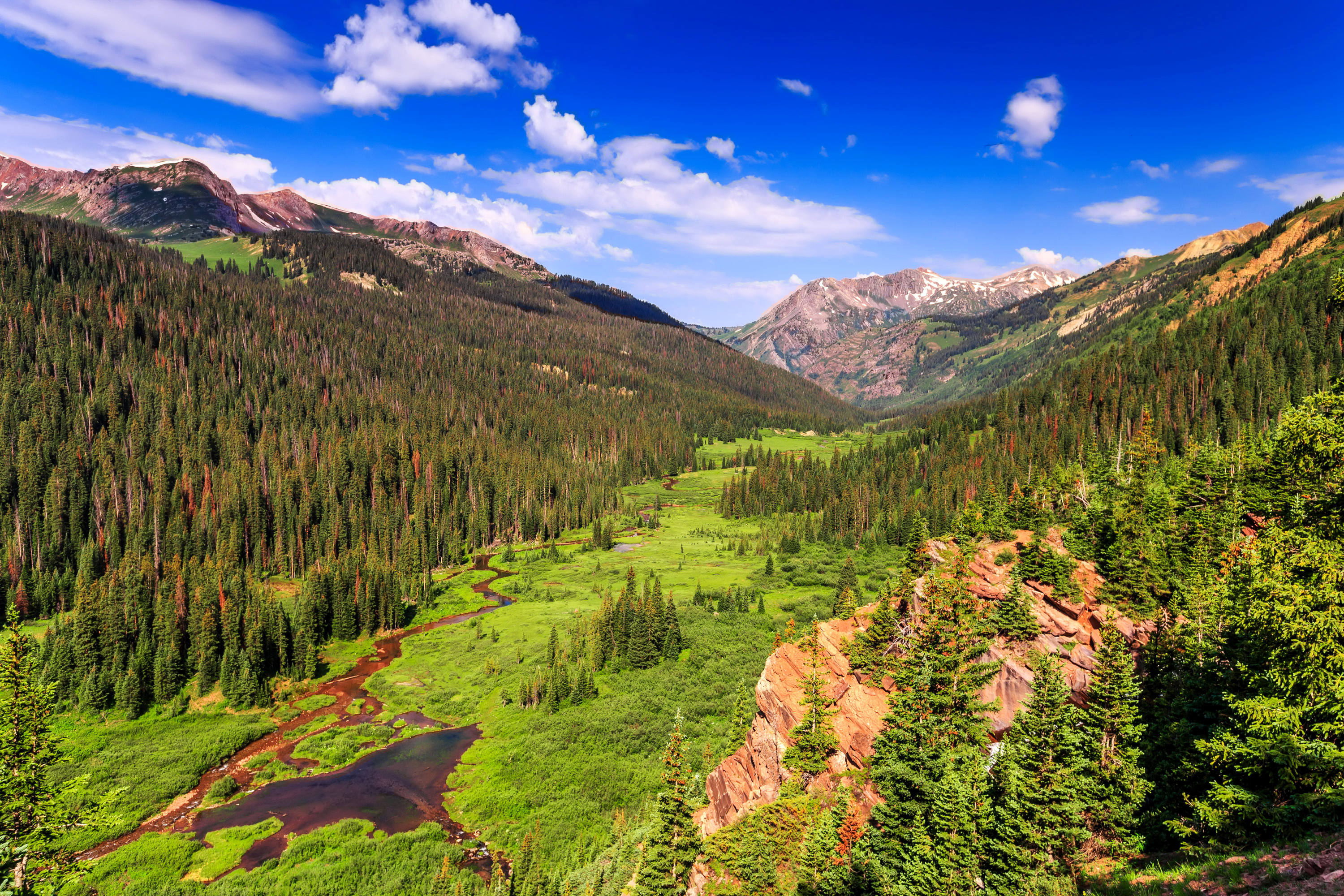 Штат Колорадо леса