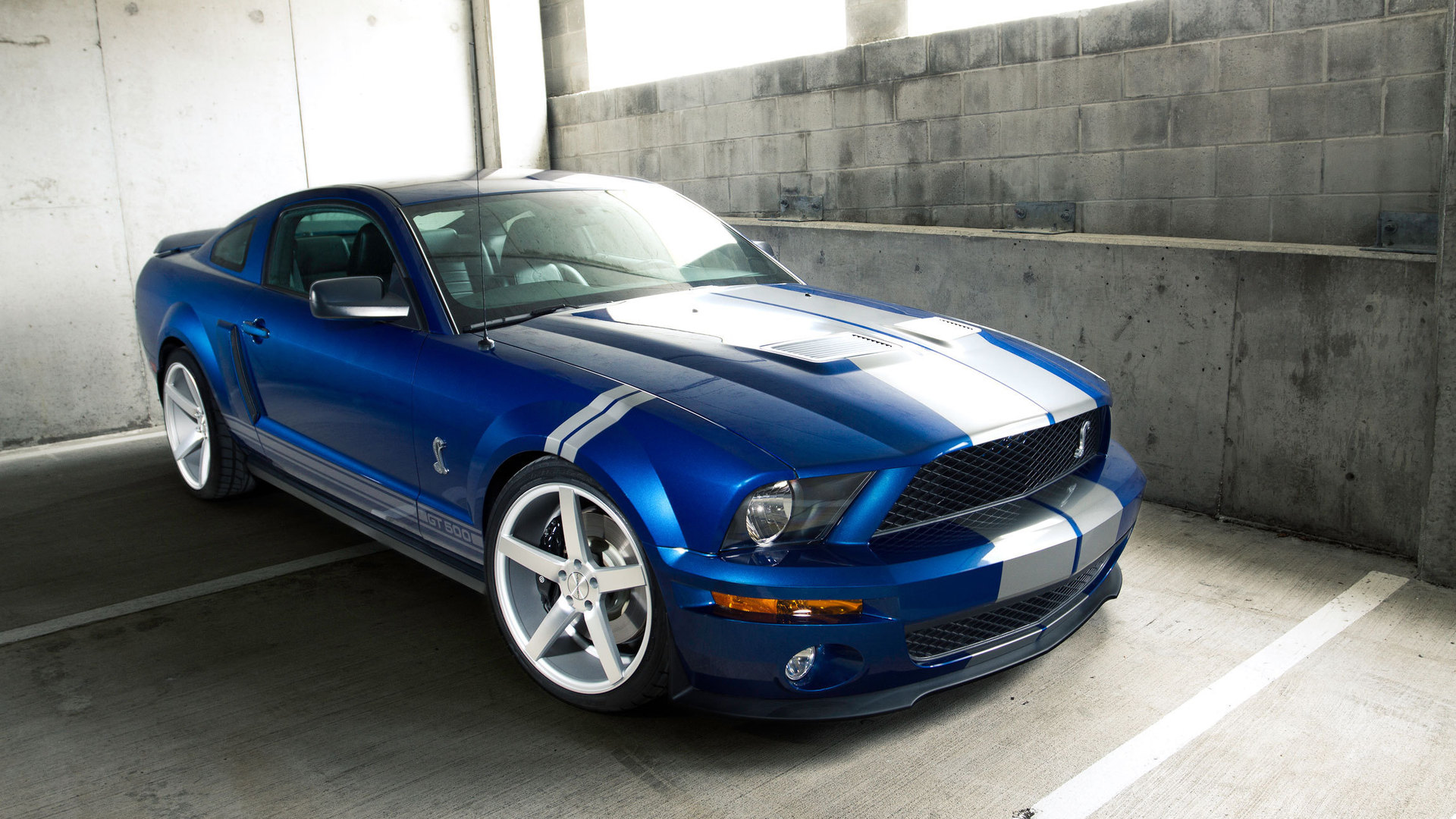 Shelby Mustang Cobra gt500