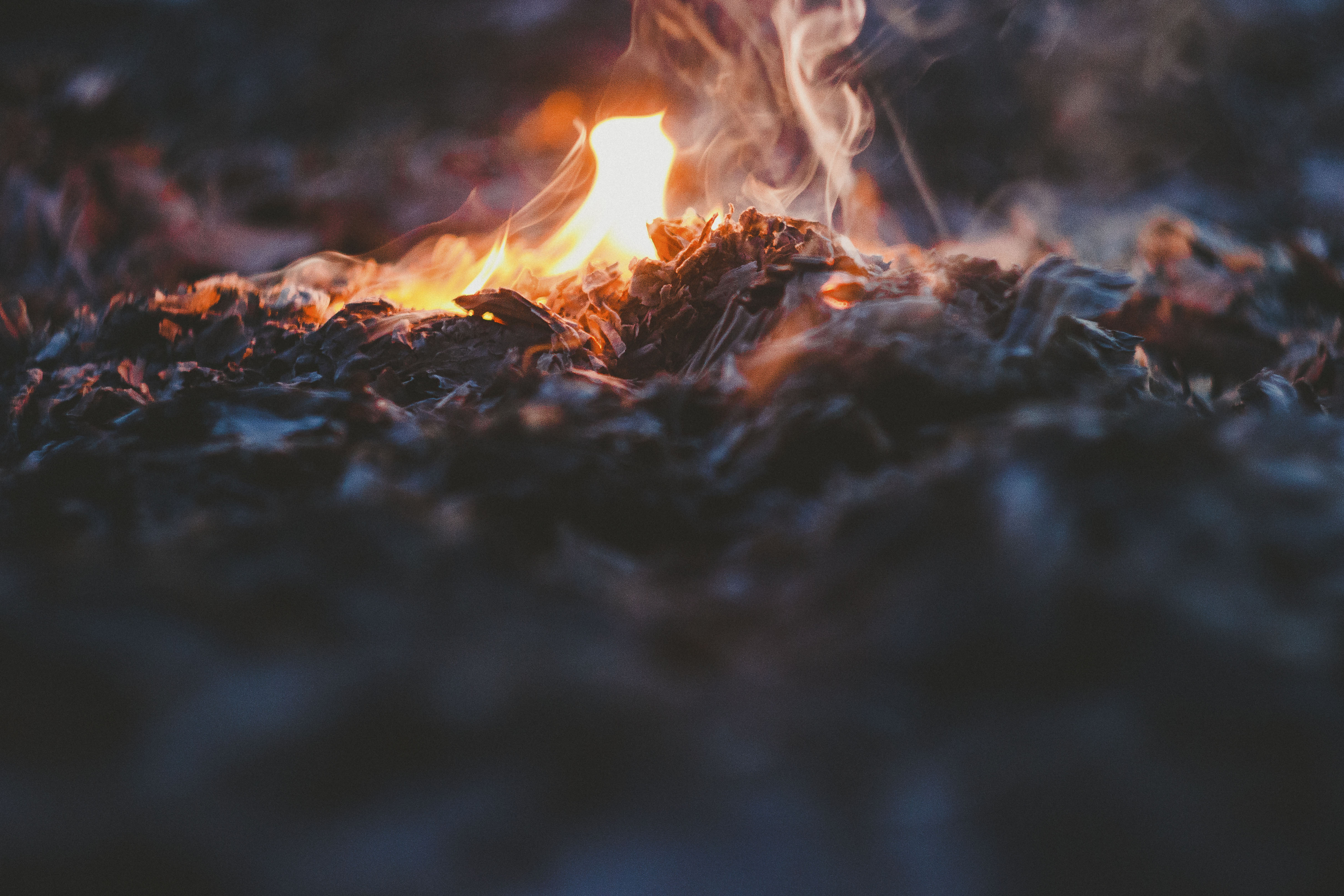 bonfire, fire, miscellanea, miscellaneous, ash