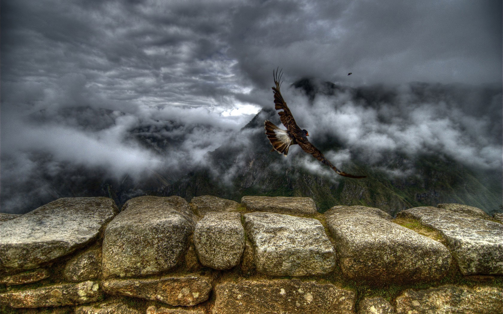 HD desktop wallpaper: Mountain, Bird, Fog, Animal, Eagle download ...
