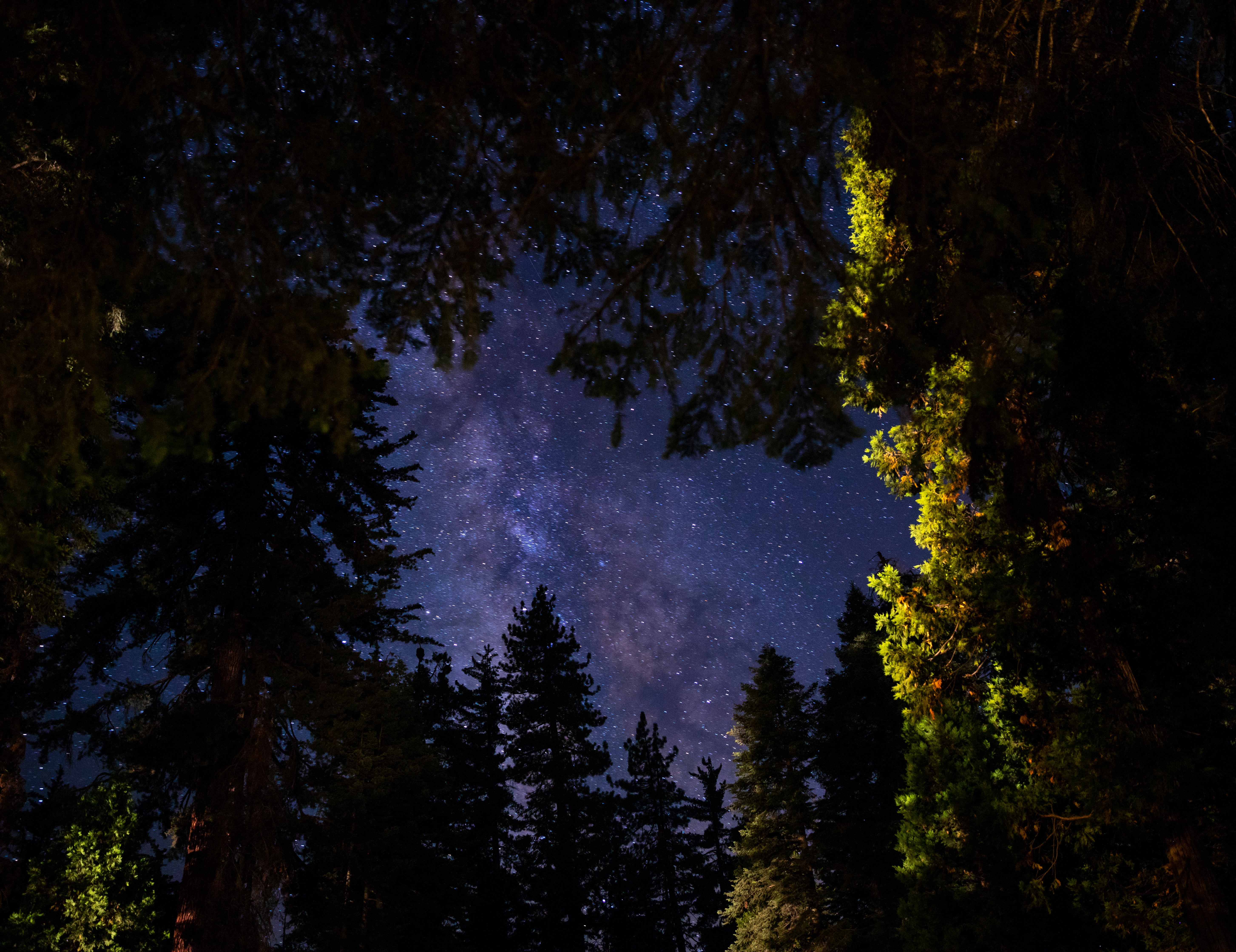 Free download wallpaper Trees, Sky, Stars, Night, Dark on your PC desktop