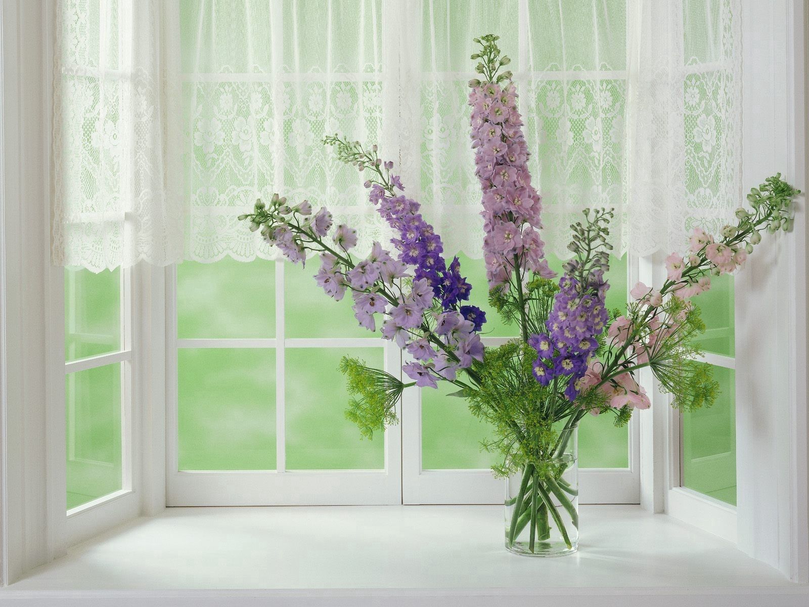 vase, gladiolus, flowers, bouquet, window