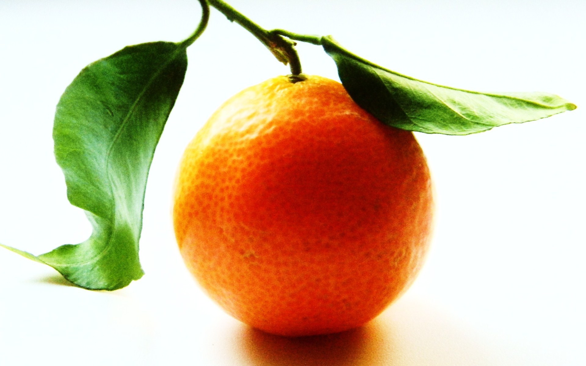 227595 free download Orange wallpapers for phone,  Orange images and screensavers for mobile