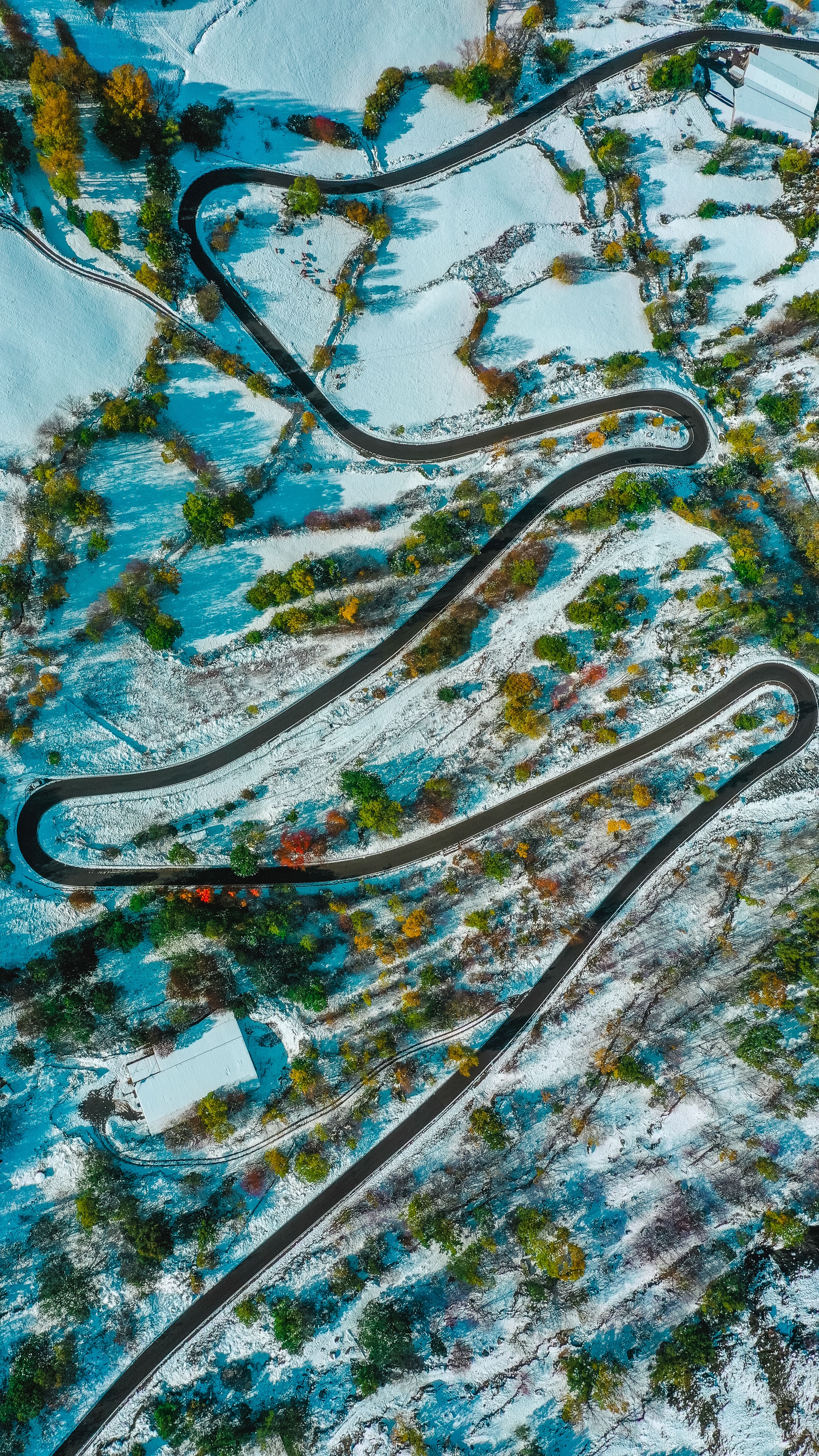 nature, view from above, road, relief, snow covered, snowbound, winding, sinuous
