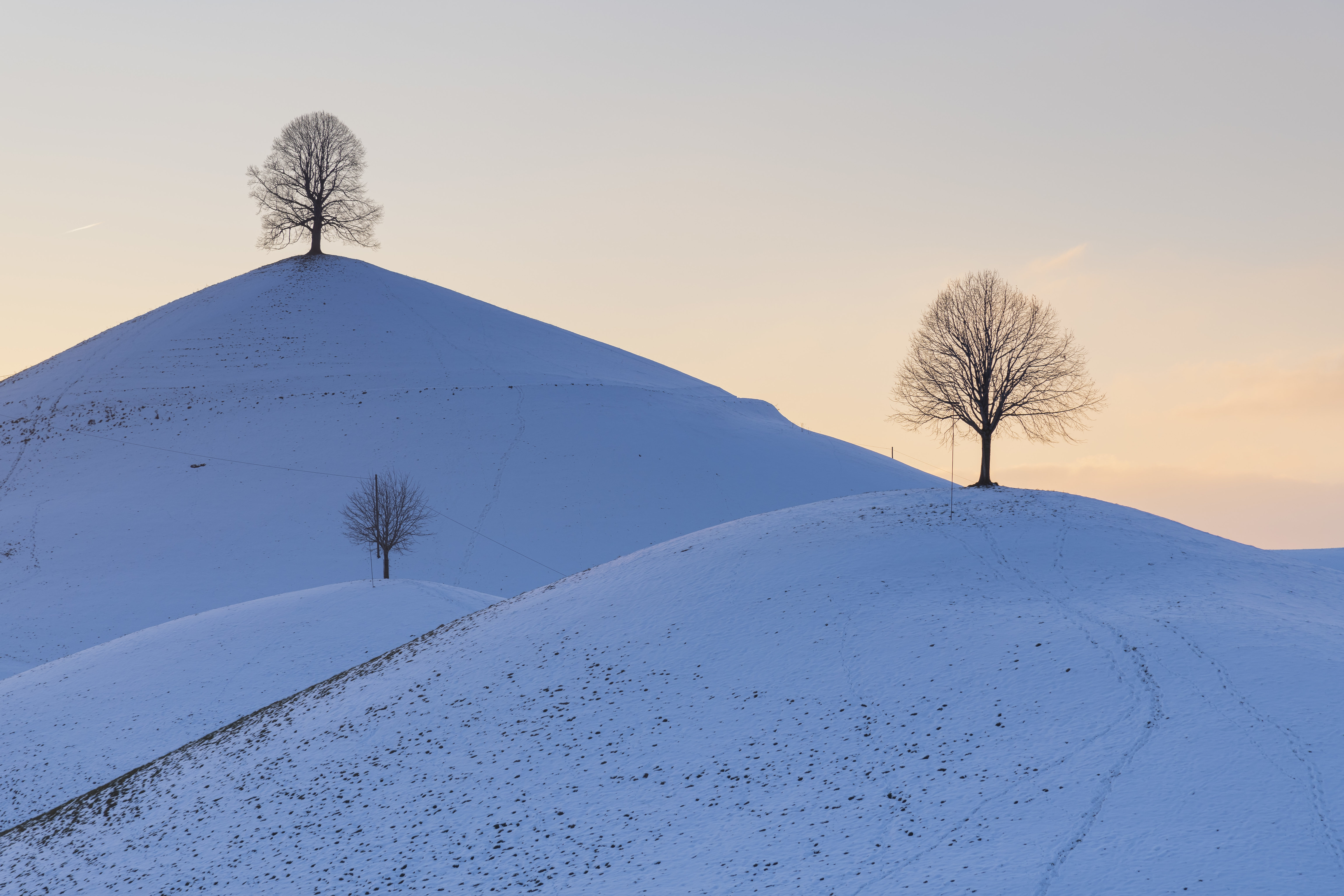 132153 завантажити картинку зима, природа, дерева, сніг, пагорби - шпалери і заставки безкоштовно