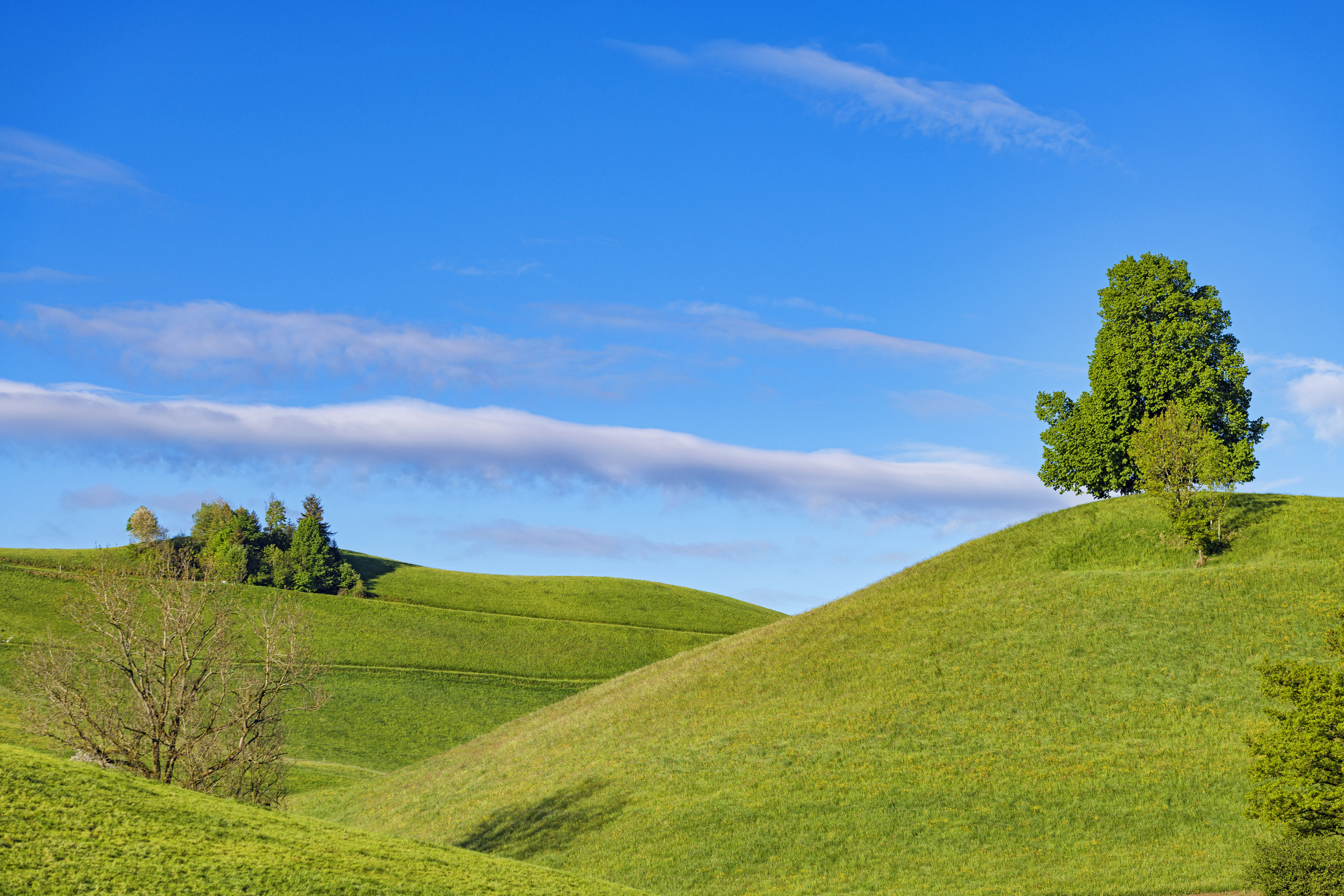 Картинка холма. Холм Уснех. Холм каванал Хилл. Зеленые холмы 212525. Финляндия трава холмы.