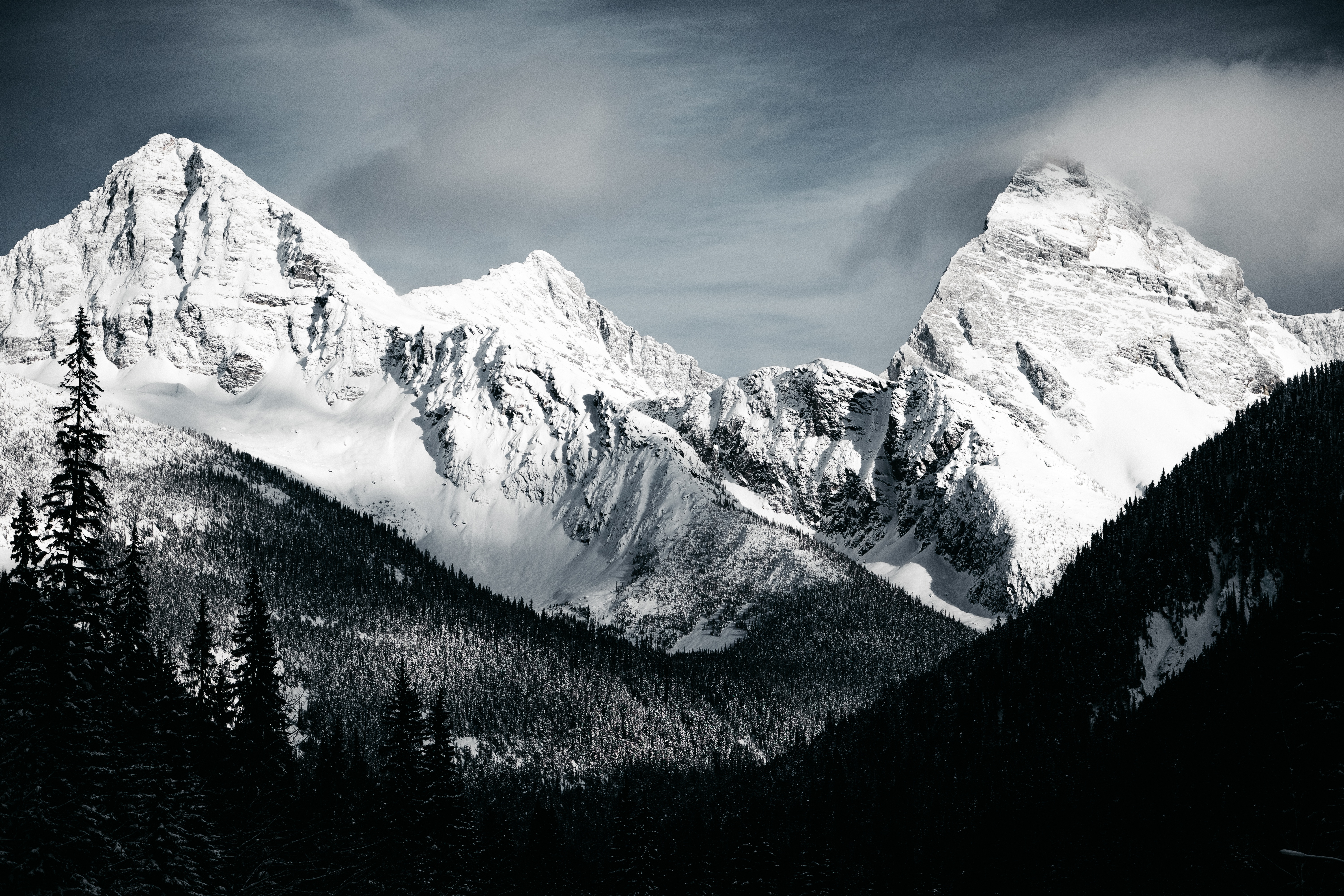 mountains, nature, forest, earth, mountain, black & white, peak, snow Phone Background