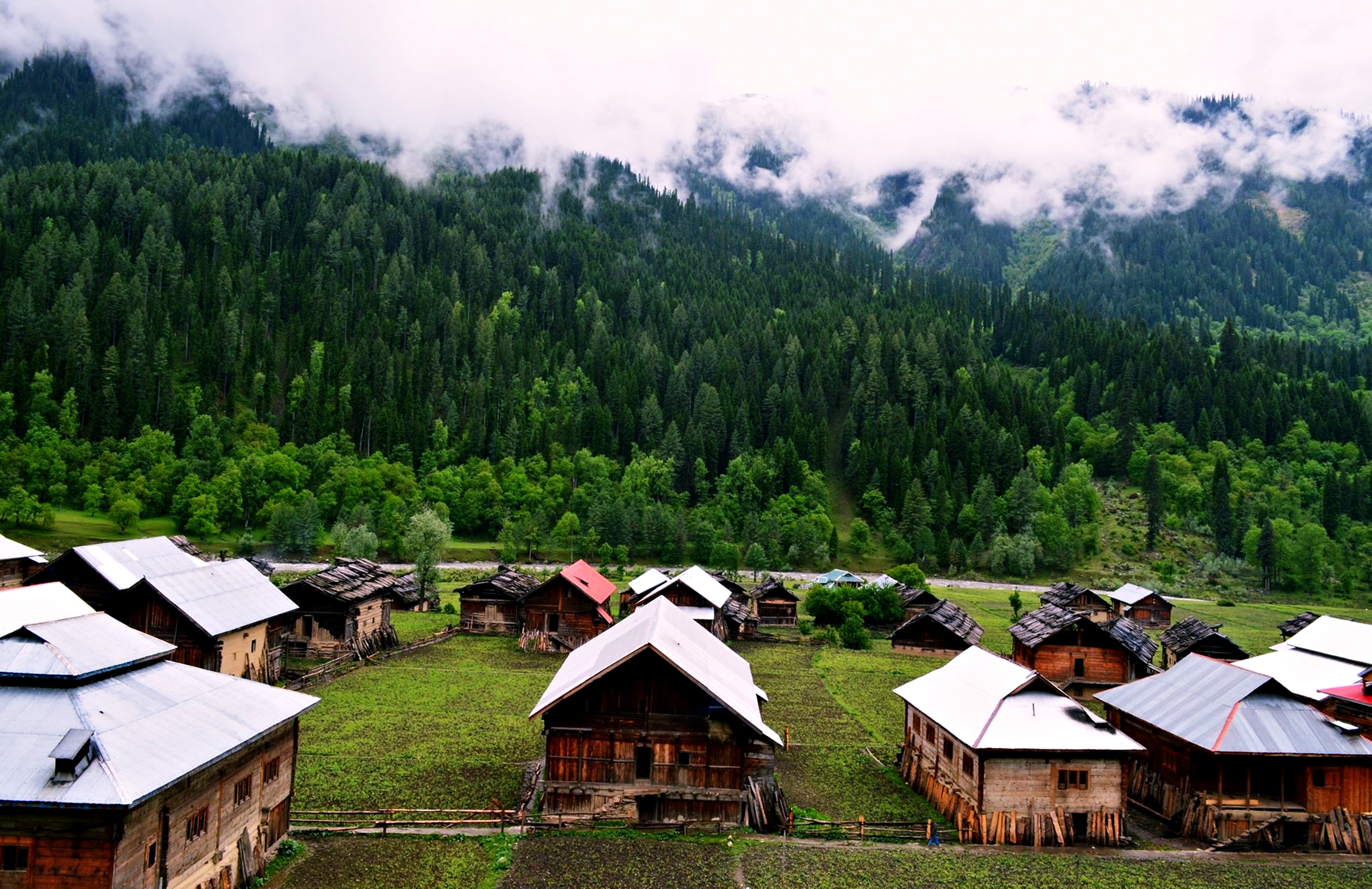 kashmir, village, photography, landscape, forest, house, hut, mountain, pakistan