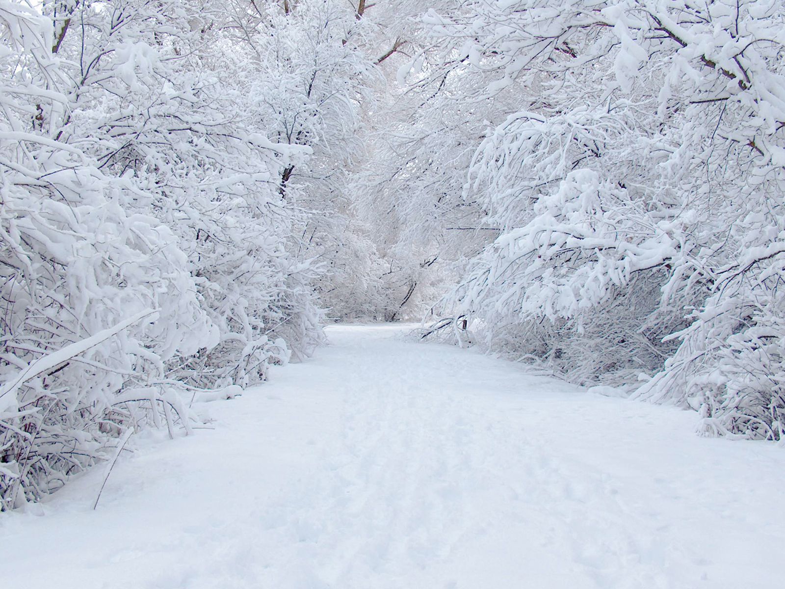Скачать картинку Снег, Пейзаж, Зима в телефон бесплатно.