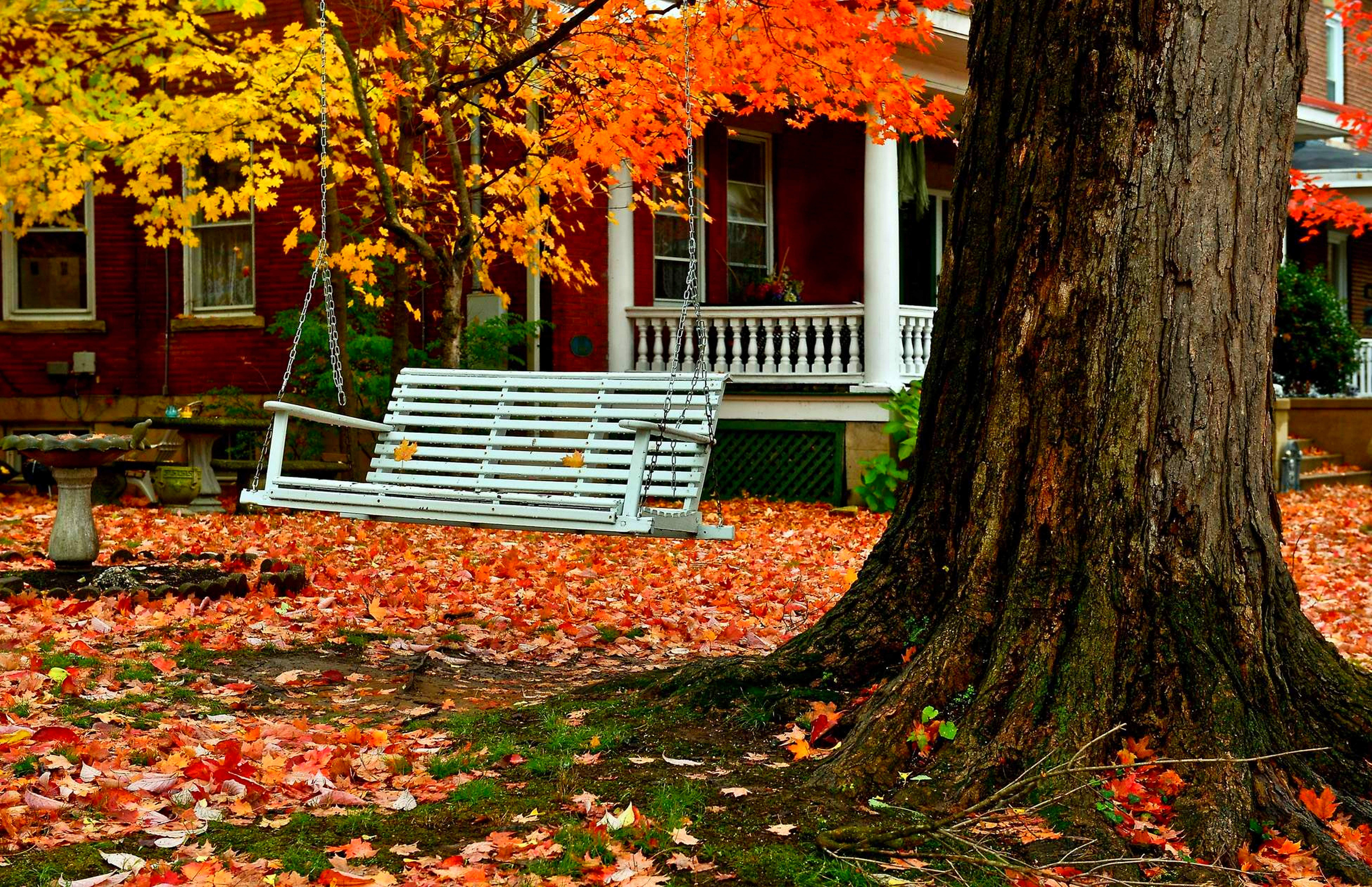 Осенний дом