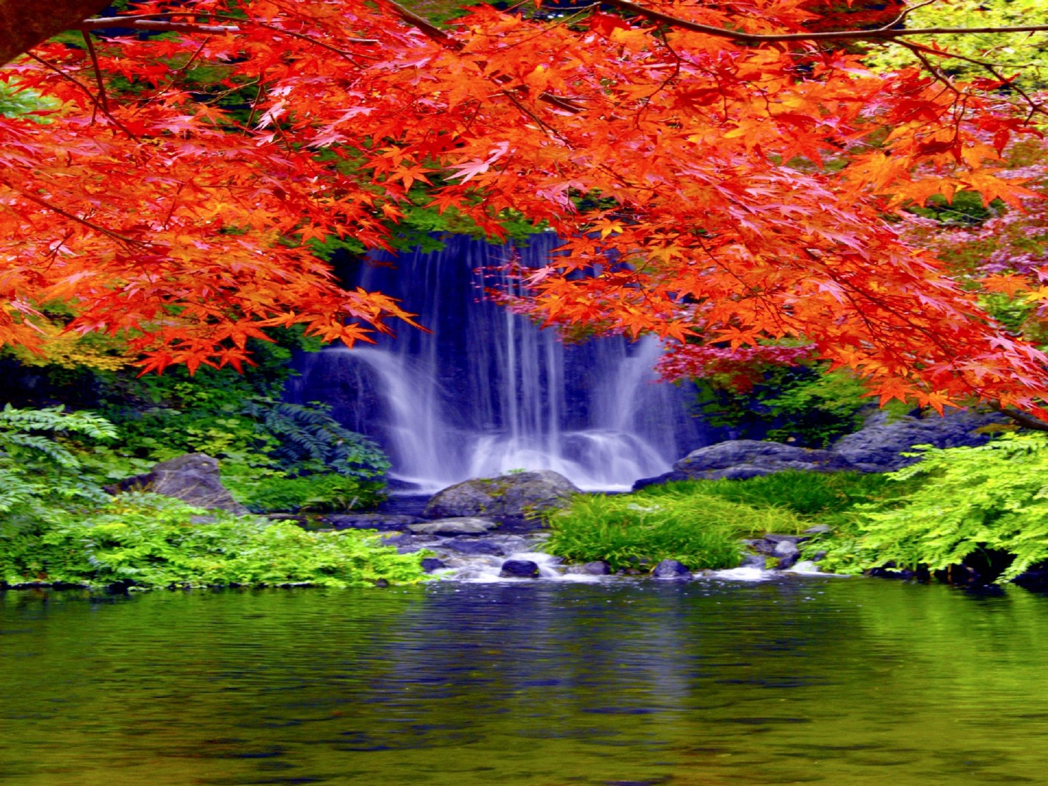 Осень лес водопад