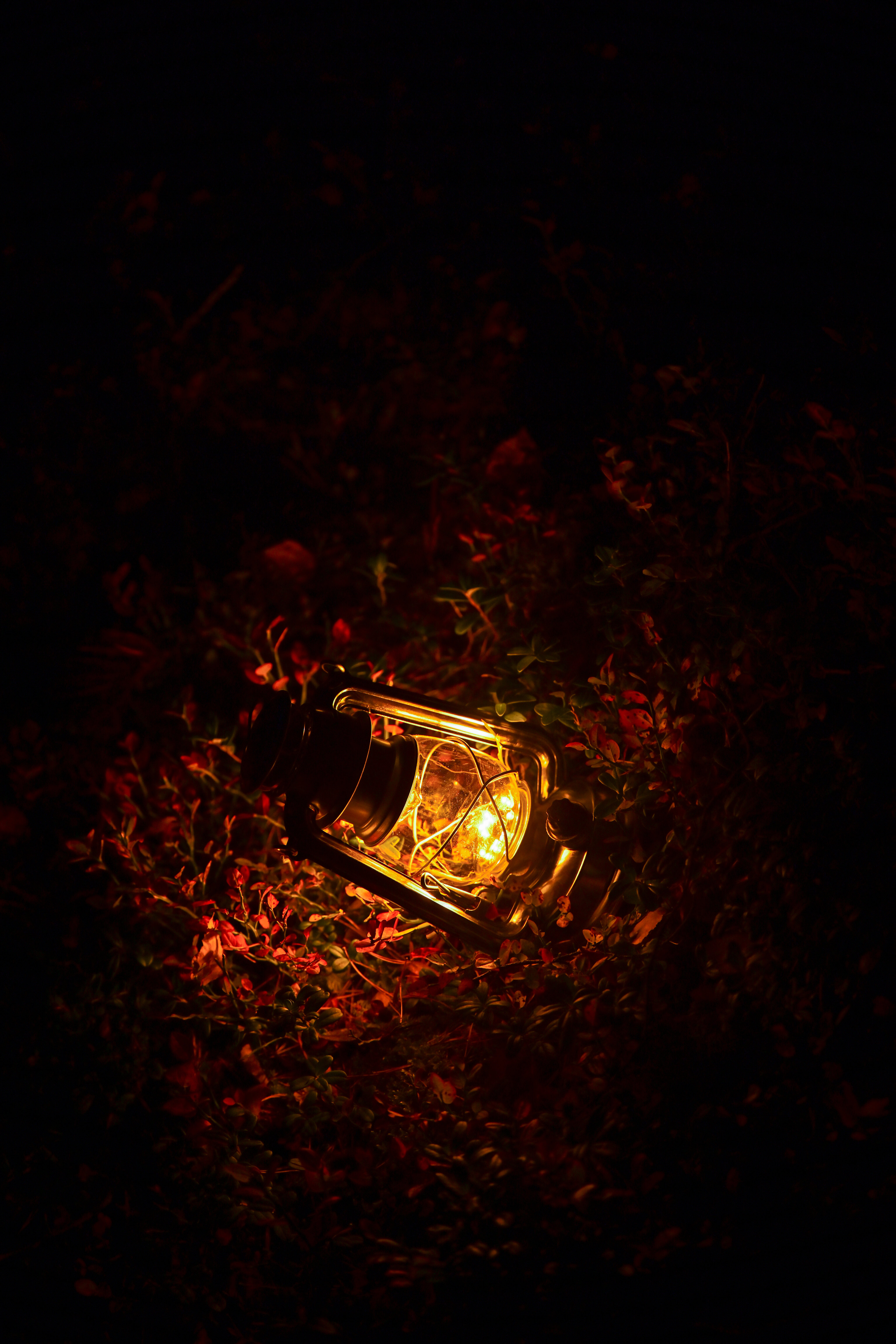 lamp, leaves, dark, lantern, glow phone background