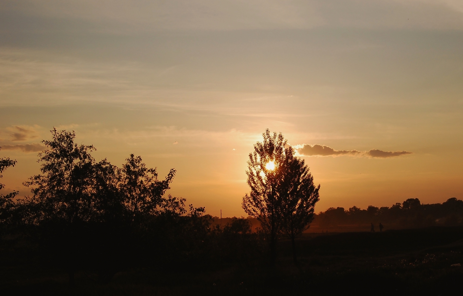 Laden Sie das Landschaft, Sunset, Sky, Sun, Bäume-Bild kostenlos auf Ihren PC-Desktop herunter