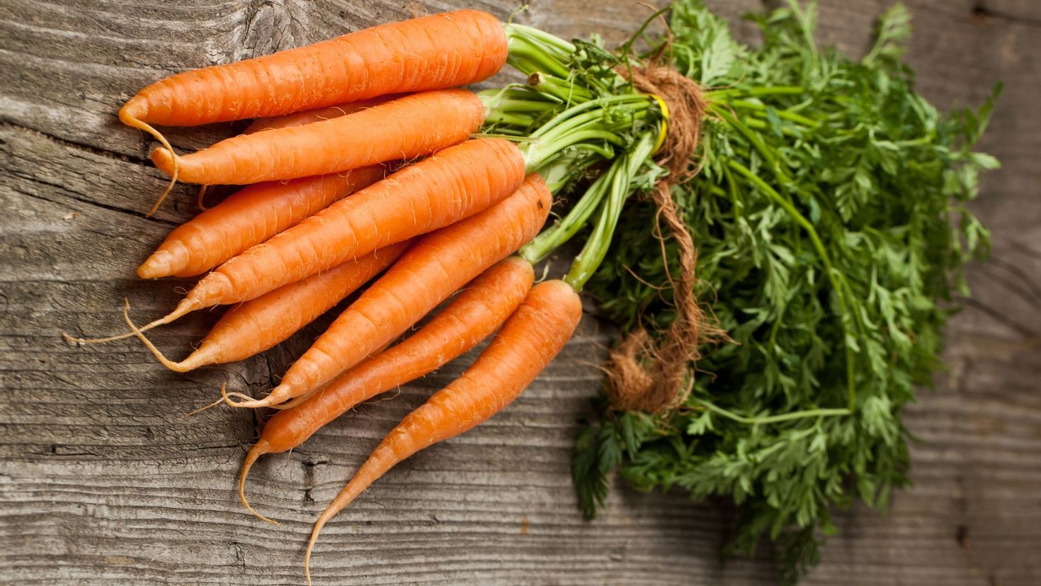 Морковь относится к группе. Юкон морковь. Морковь сорт Мустанг. Морковь Найджел f1. Морковь в пучках.