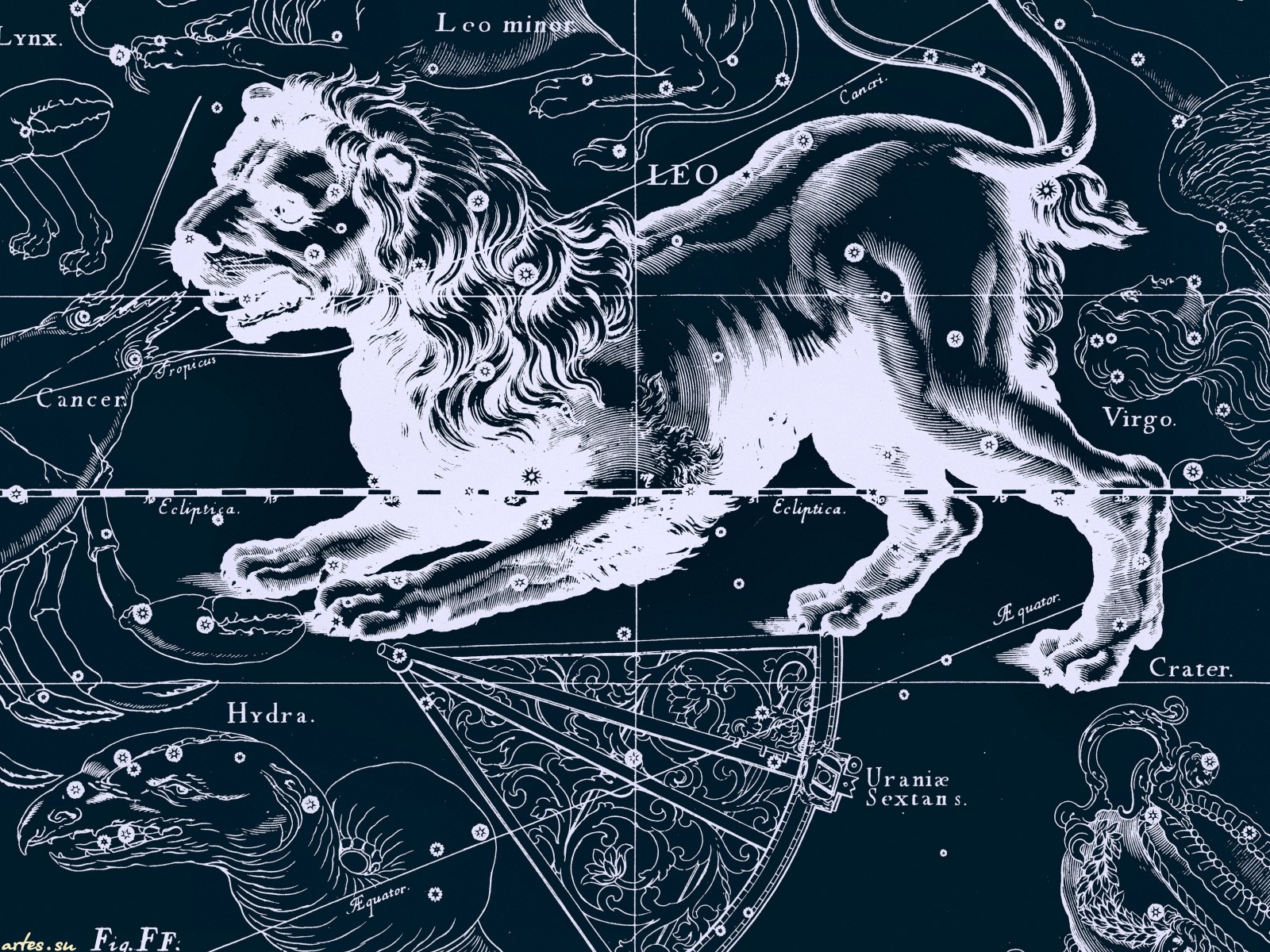 546868 descargar fondo de pantalla signo del zodiaco, fantasía, zodíaco, horóscopo, leo (astrología): protectores de pantalla e imágenes gratis